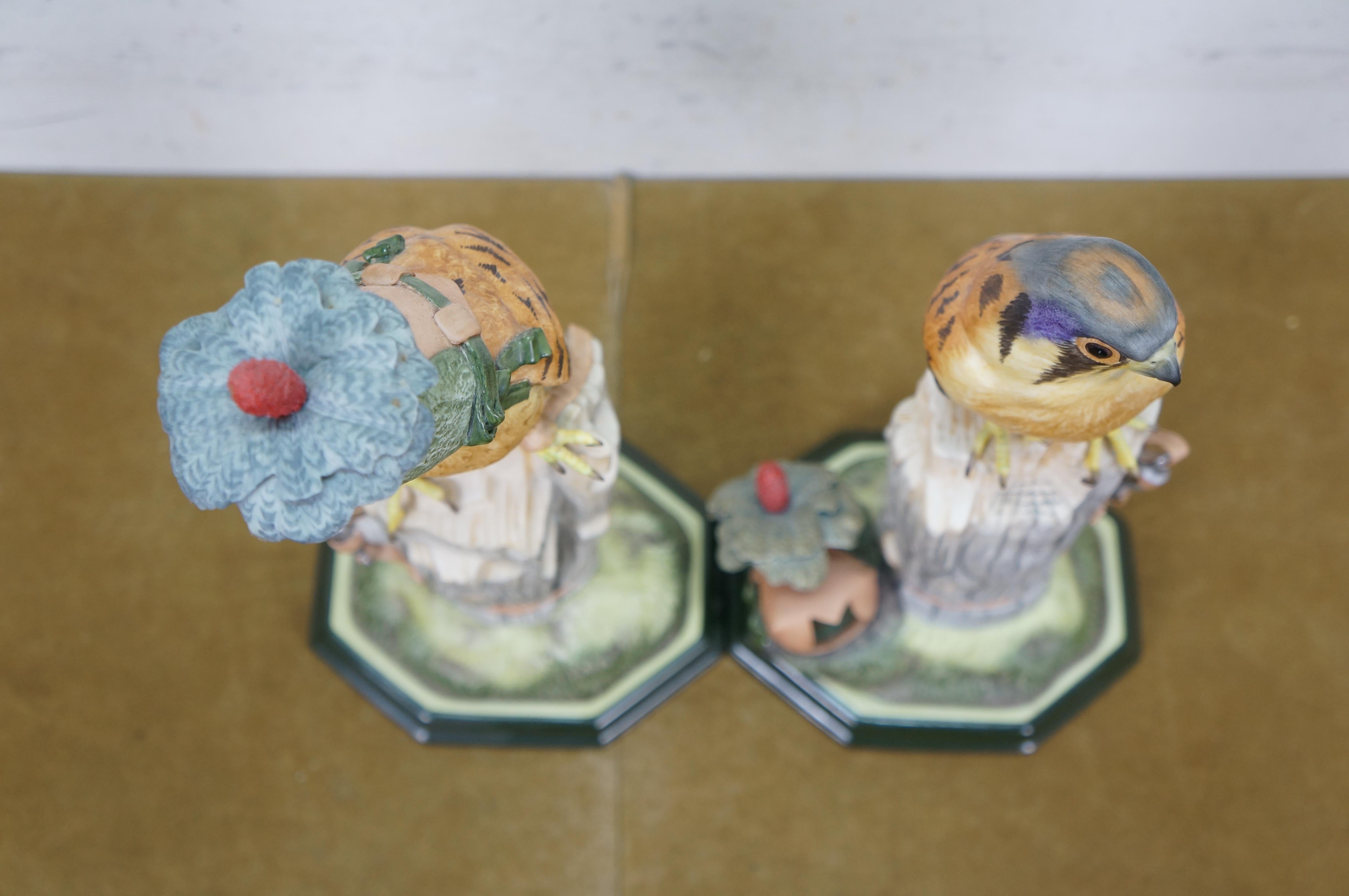 1968 Boehm Kestrel 492W Uccelli in porcellana Sculture Coppia 16