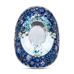 Roman Malakov 19.69 Carat Oval Cut Aquamarine & Gemstone Large Bonnet Ring