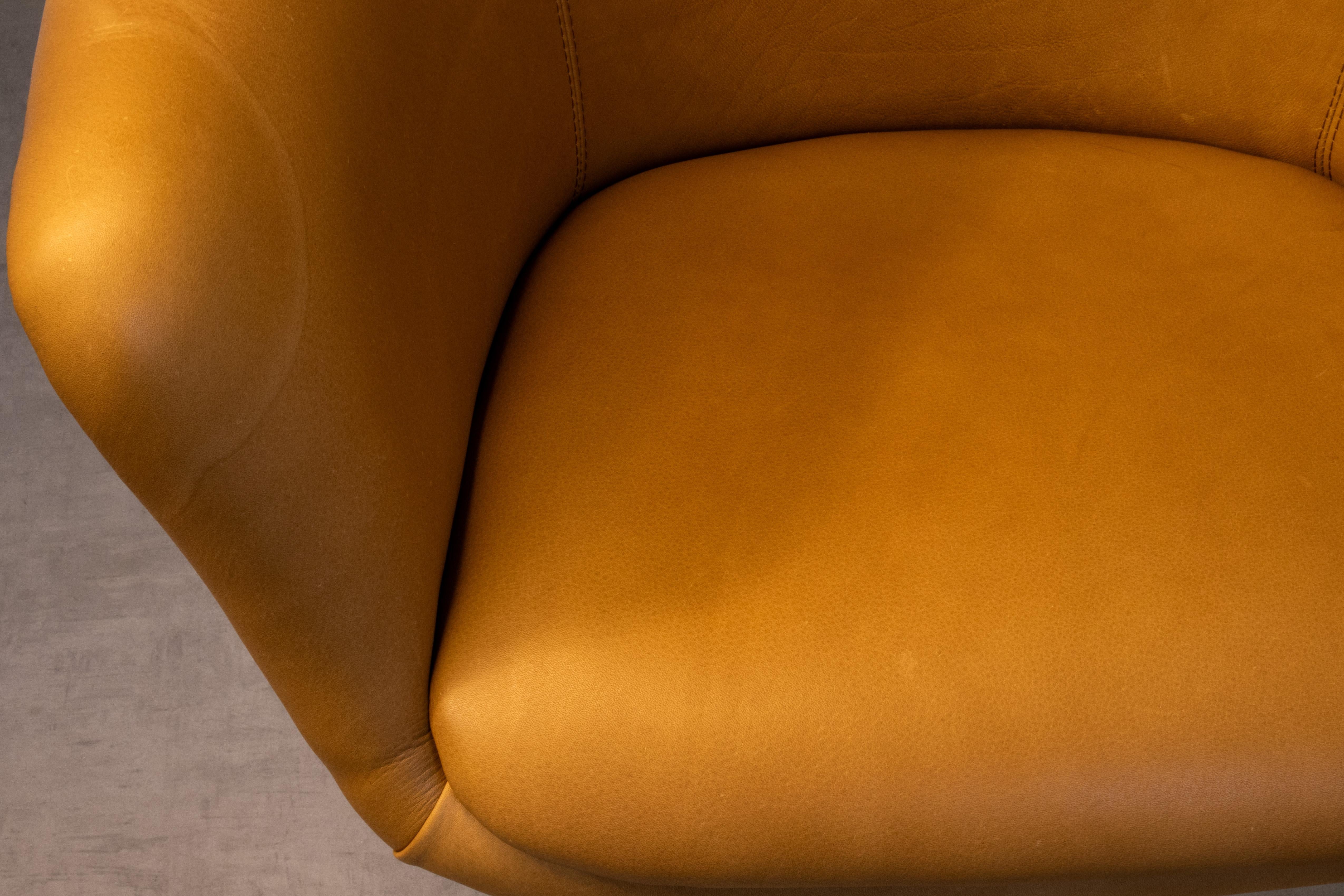 1969 Executive Armchairs Leather & Fiberglass Shell, Lübke For Sale 9
