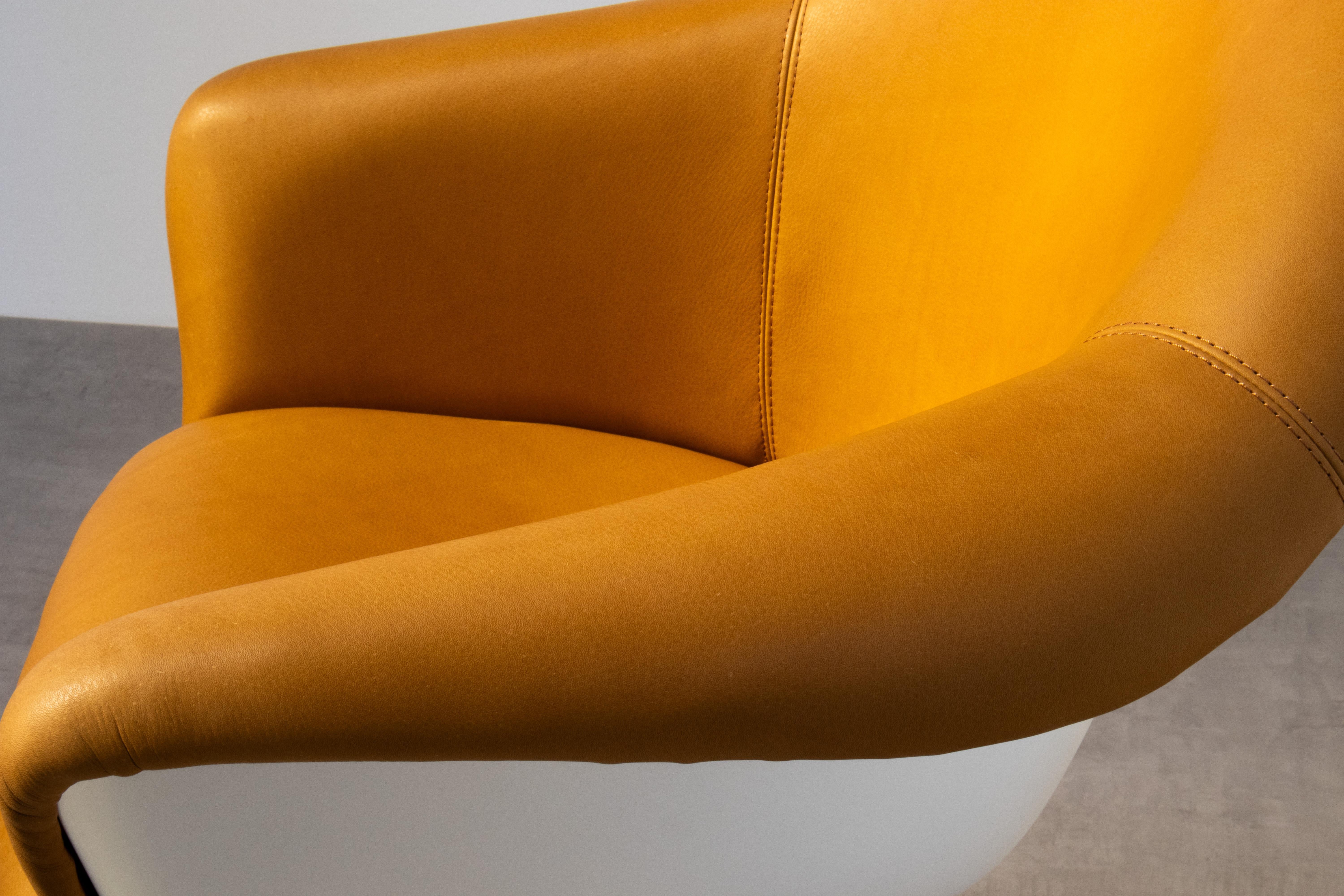 1969 Executive Armchairs Leather & Fiberglass Shell, Lübke For Sale 11