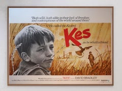 1969 Kes Original Vintage Poster