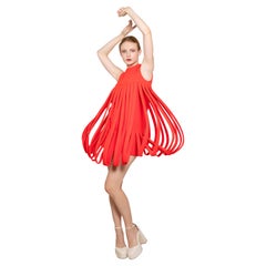 1969 Pierre Cardin Documented Car Wash Dress