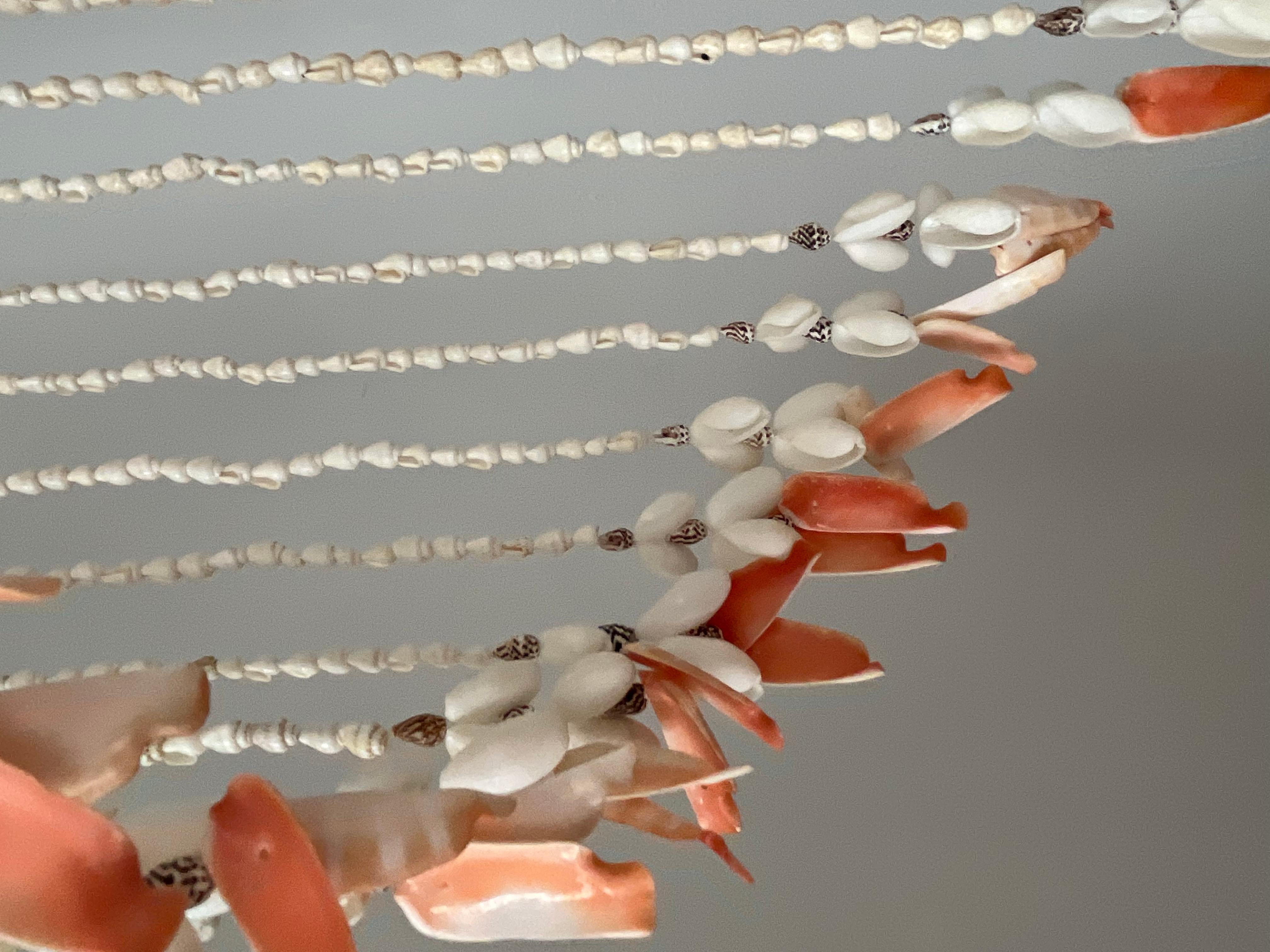 1970/1980s tall chandelier in strings of natural shells For Sale 4