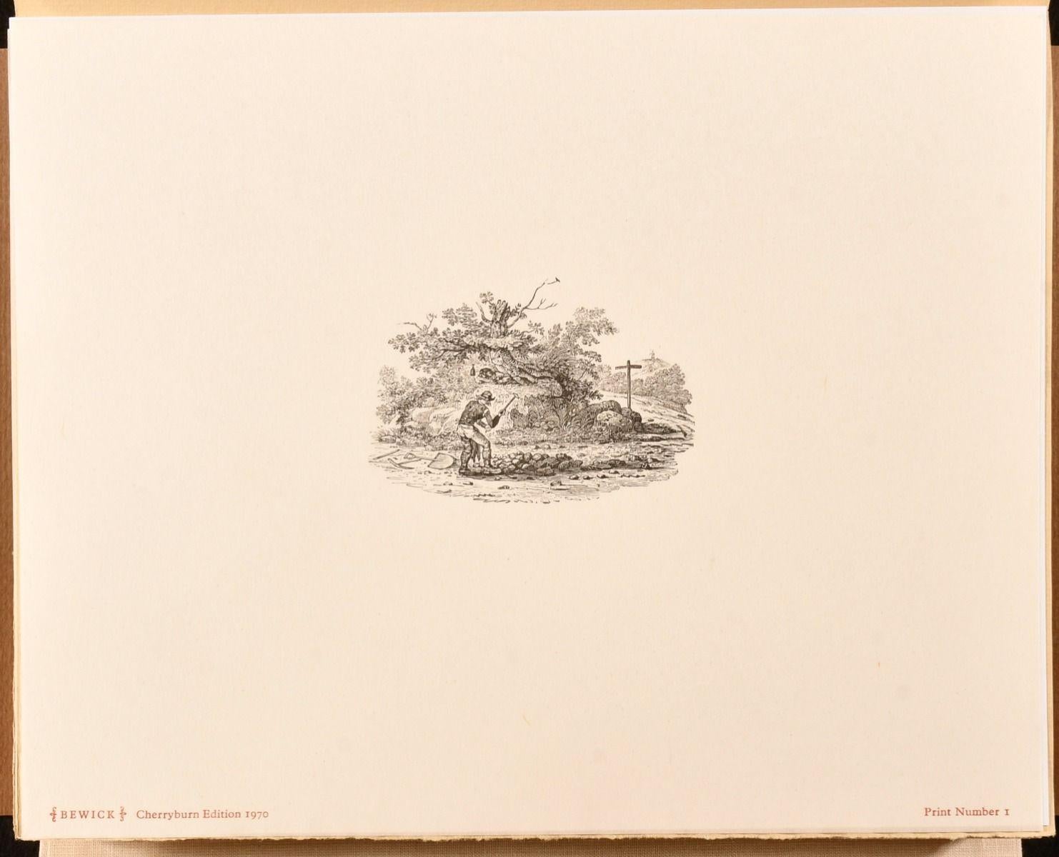 Paper 1970 A Portfolio of Thomas Bewick Wood Engravings For Sale
