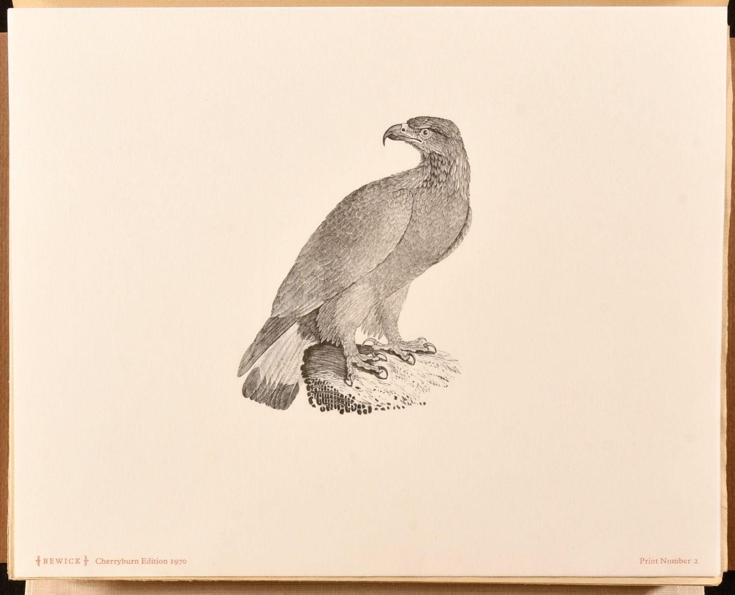 1970 A Portfolio of Thomas Bewick Wood Engravings For Sale 1