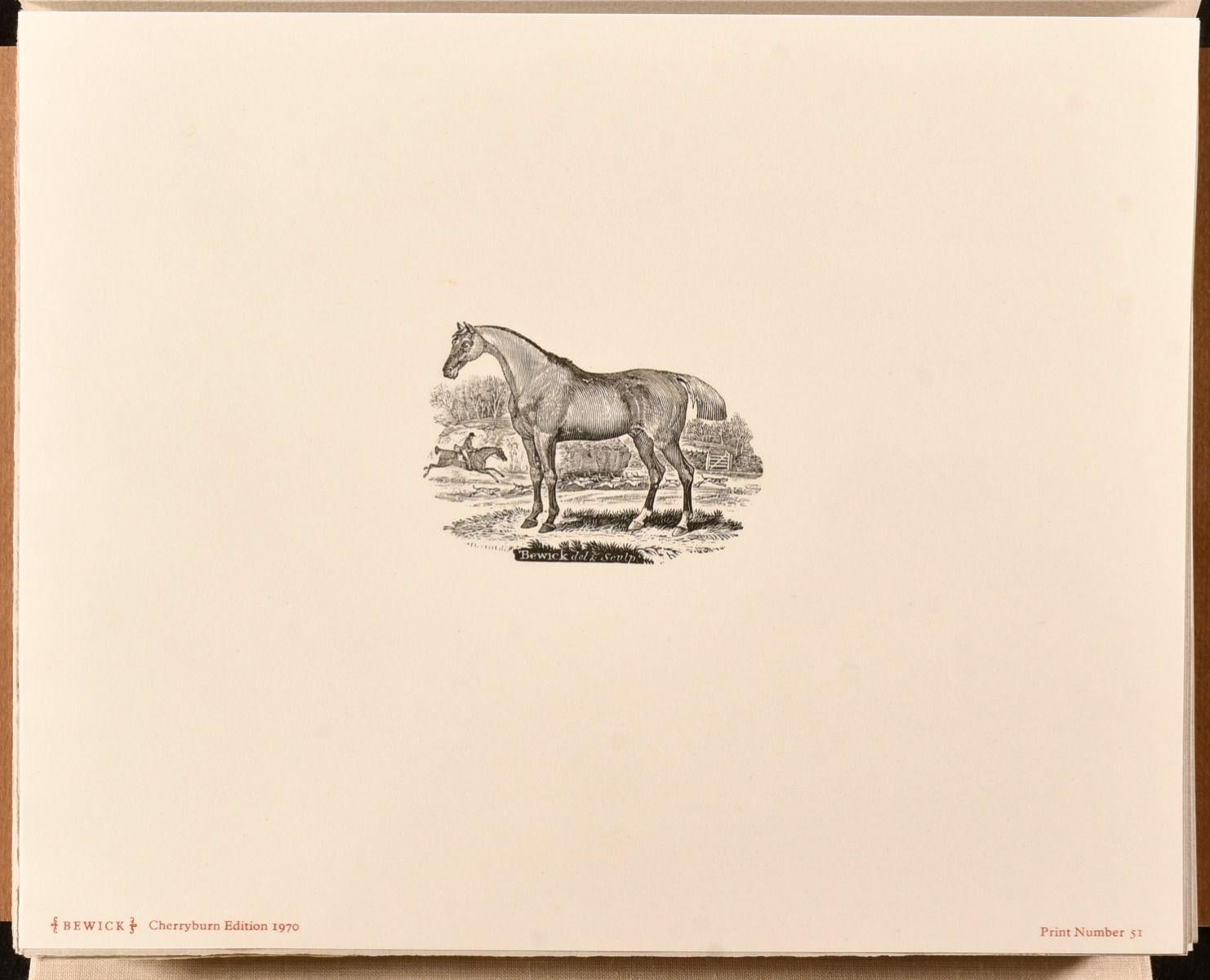 1970 A Portfolio of Thomas Bewick Wood Engravings For Sale 2