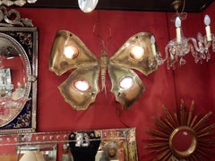 1970 Coffee Table Butterfly Illuminating DLG D.Brasseur or I.Faure or Fernandez