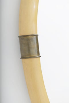 1970 "Elephant Tusk" Mirror by Chapman