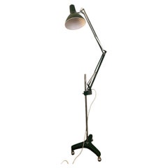 Floor Lamps