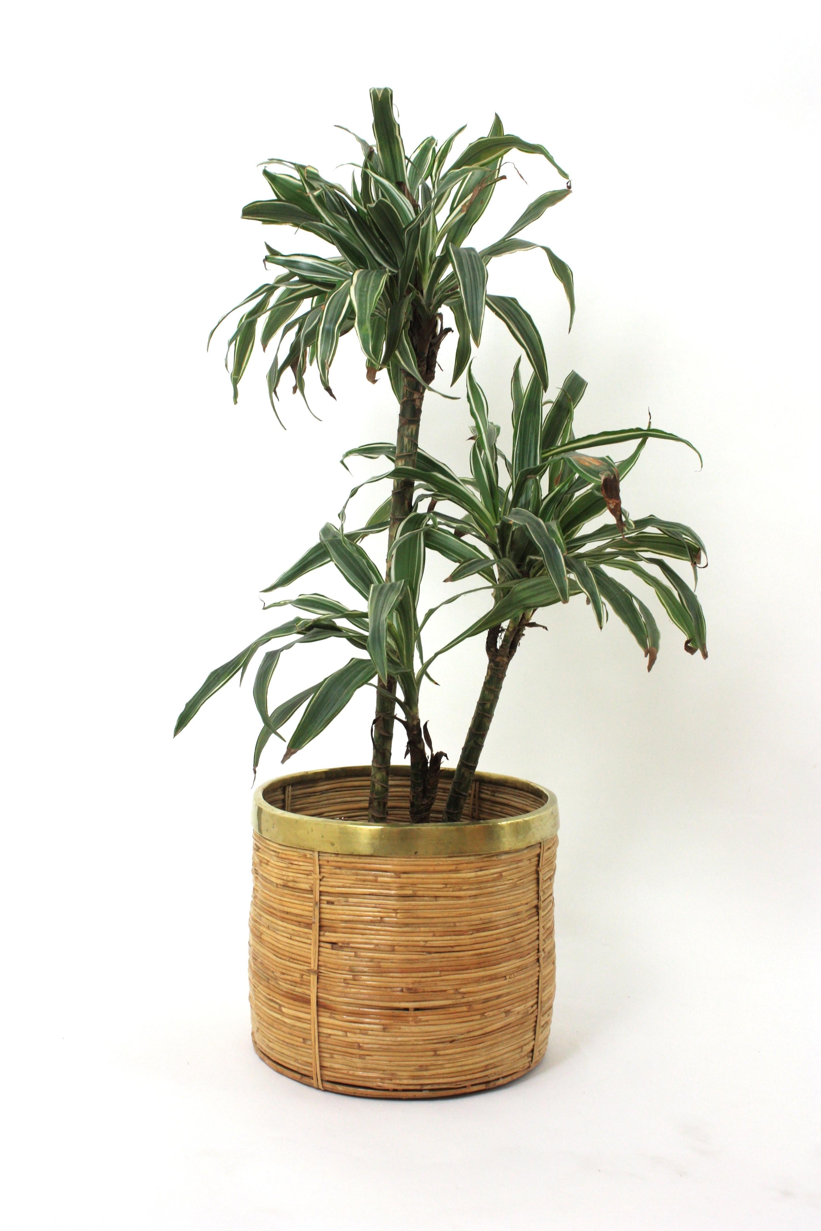 Medium Size Rattan Bamboo Round Planter with Brass Rim, Italy, 1970s
Mid-Century Modern decorative rattan and brass planter or basket. 
Handcrafted in Italy.
Round shape with gilded brass rim. Handcrafted inspired by Gabriella Crespi designs.
It can