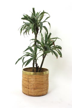 1970 Italian Rattan Bamboo Round Planter Basket with Brass Rim