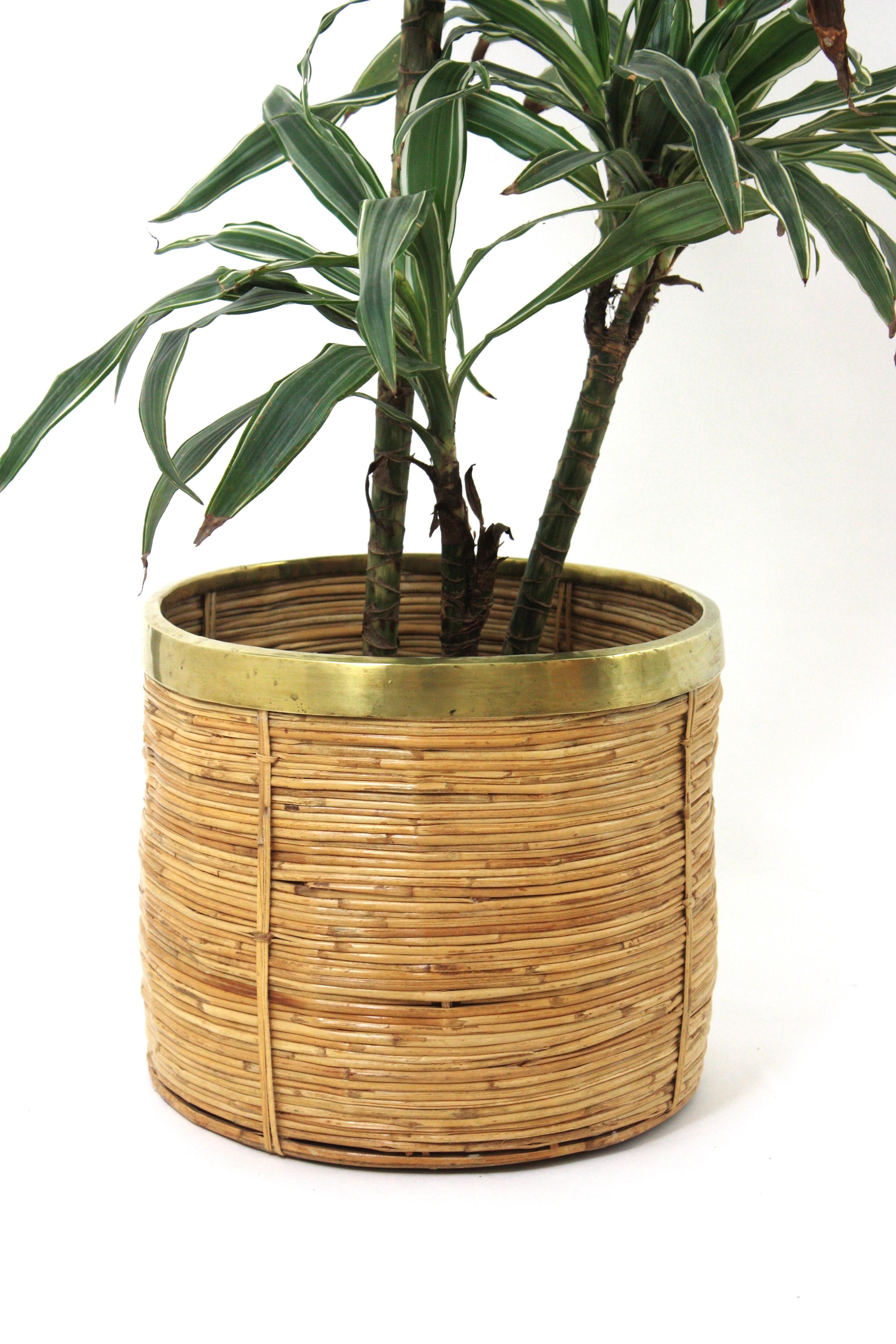 Mid-Century Modern 1970 Italian Rattan Bamboo Round Planter Basket with Brass Rim For Sale