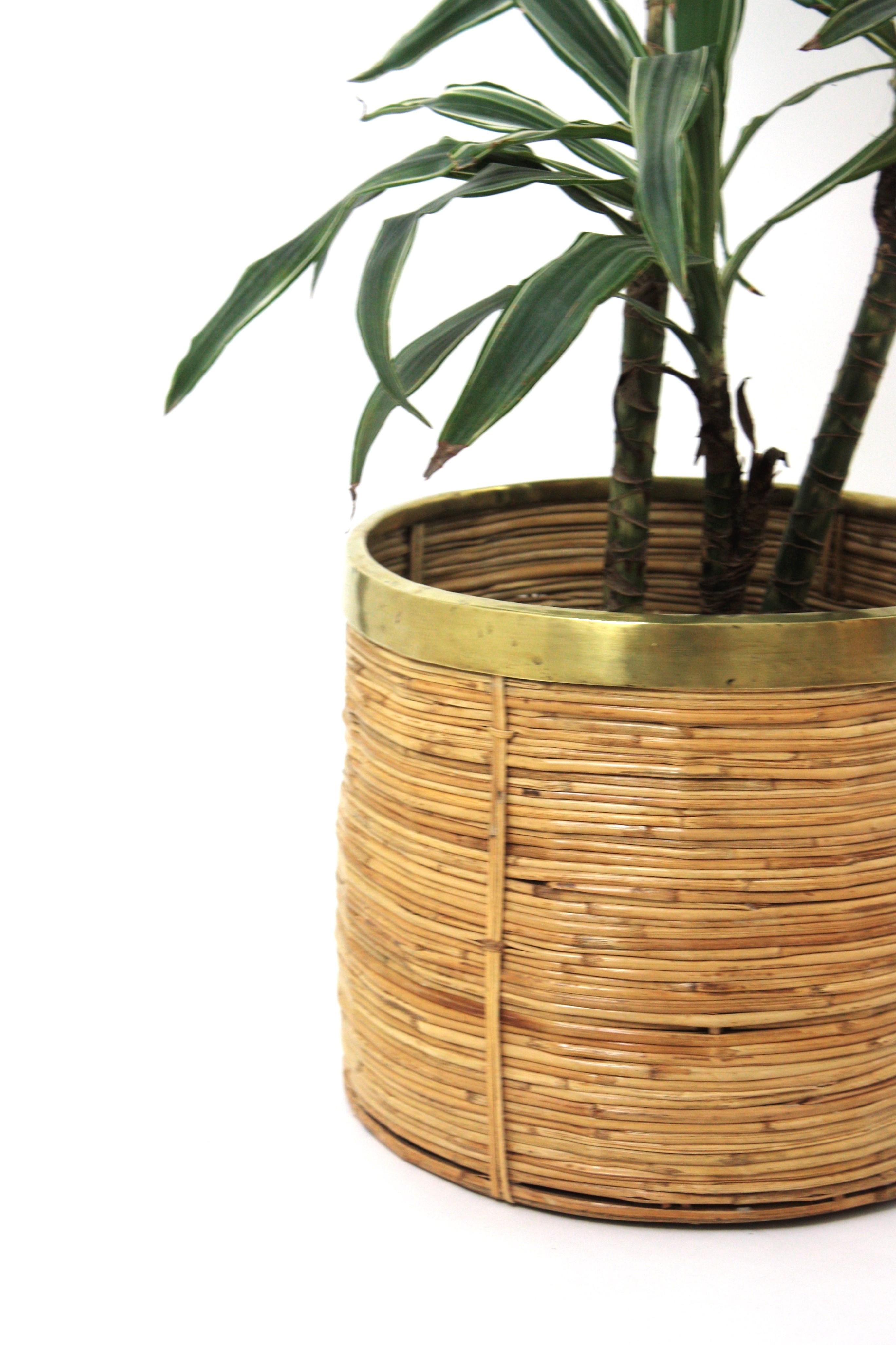 Hand-Crafted 1970 Italian Rattan Bamboo Round Planter Basket with Brass Rim For Sale
