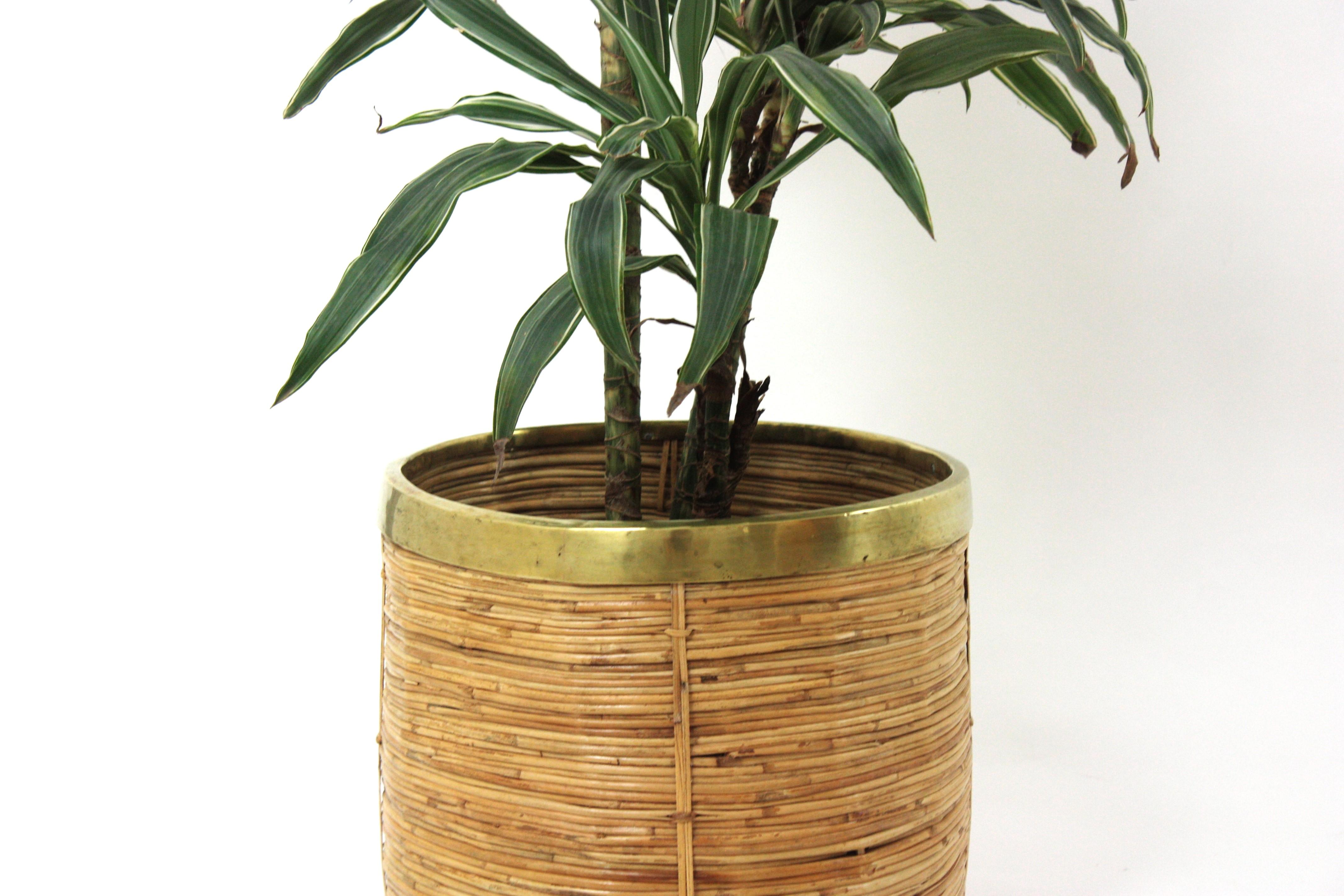 1970 Italian Rattan Bamboo Round Planter Basket with Brass Rim For Sale 1