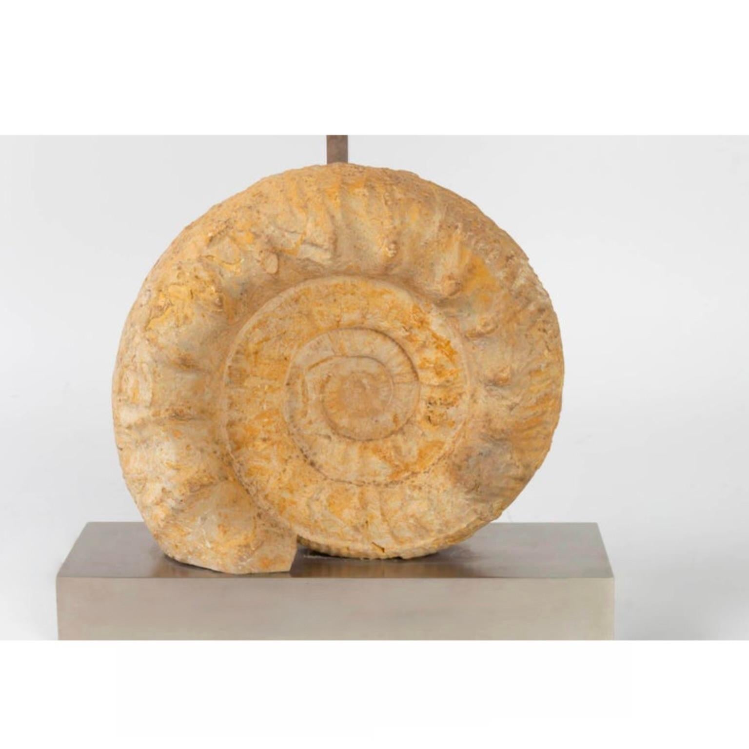 ammonite lamp