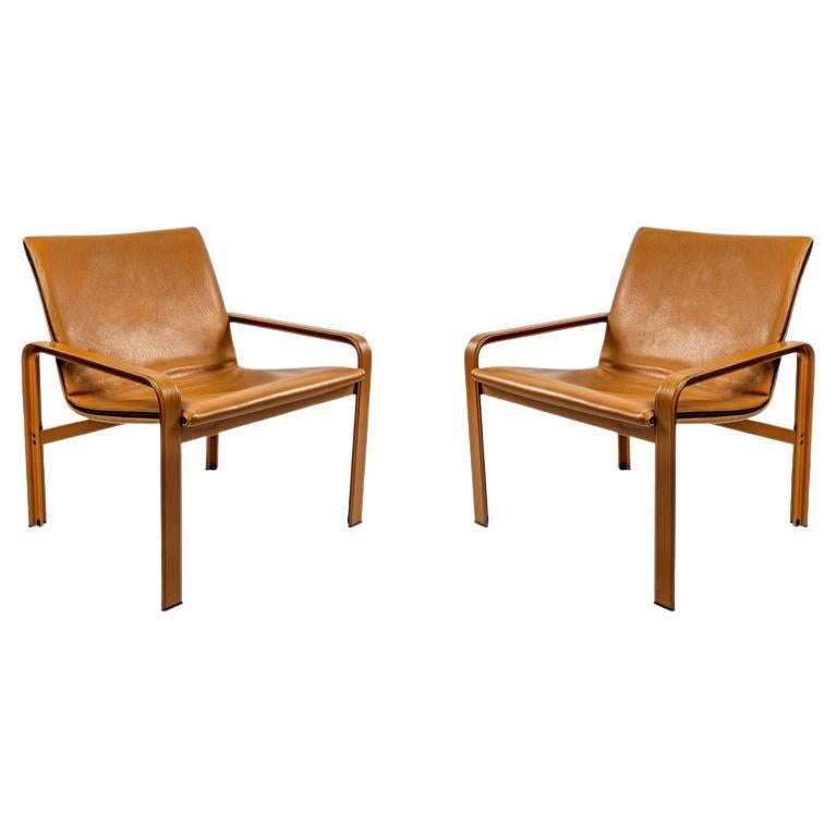 1970 Pair of Armchairs Jacques Toussaint & Patrizia Angeloni for Matteo Grassi For Sale