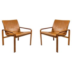 Used 1970 Pair of Armchairs Jacques Toussaint & Patrizia Angeloni for Matteo Grassi