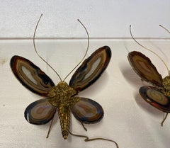 1970’ Pair Of Butterfly Sconces In Bronze Or Brass, Duval Brasseur Or I  Faure