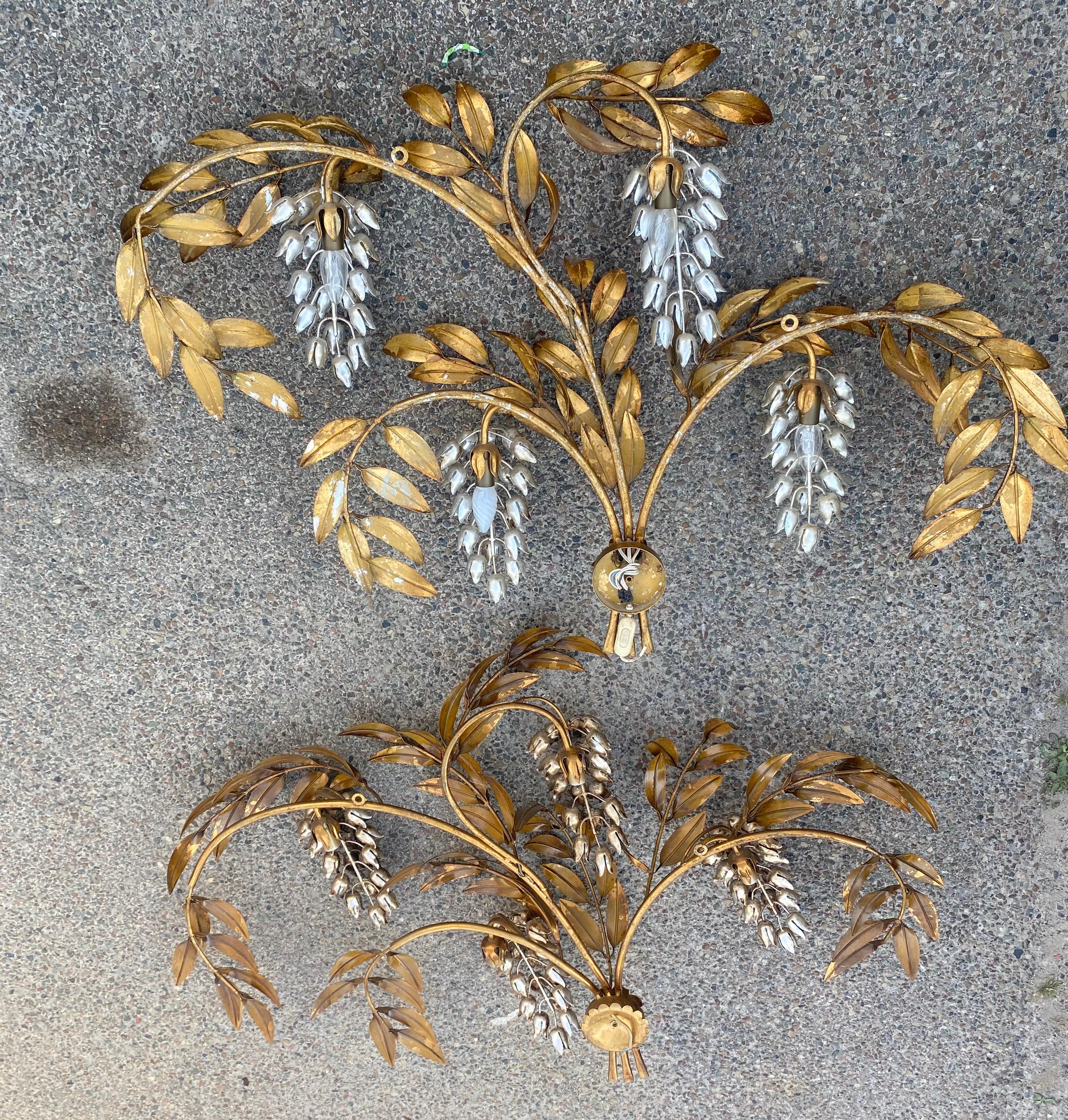 1970′ Pair of Sconces or Similar to 4 Glycines, 130X 80 cm Hans Kogl For Sale 3