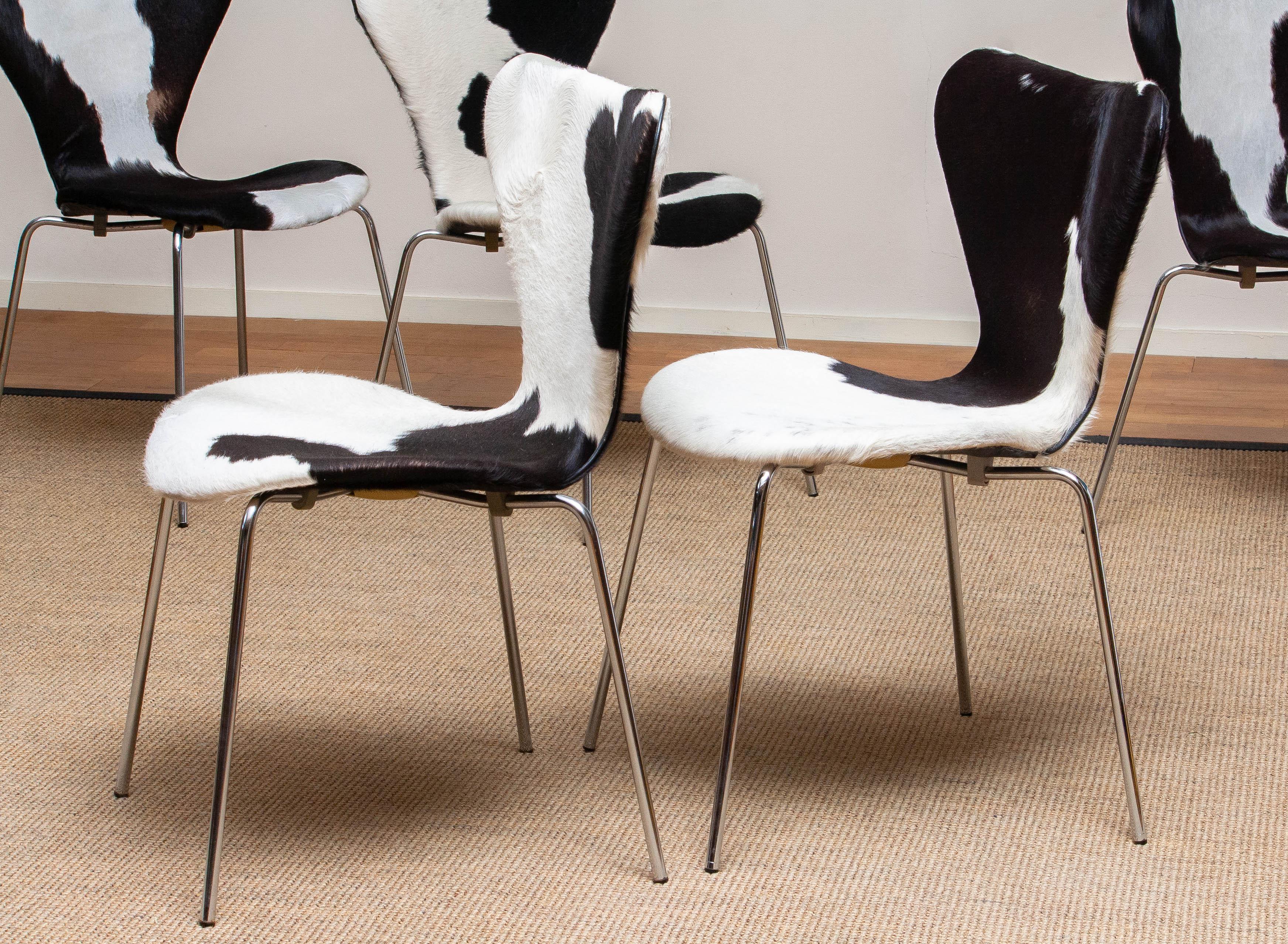 1970er, 5 Esszimmerstühle aus Kuhfell von Arne Jacobsen & Fritz Hansen Modell 3107 3
