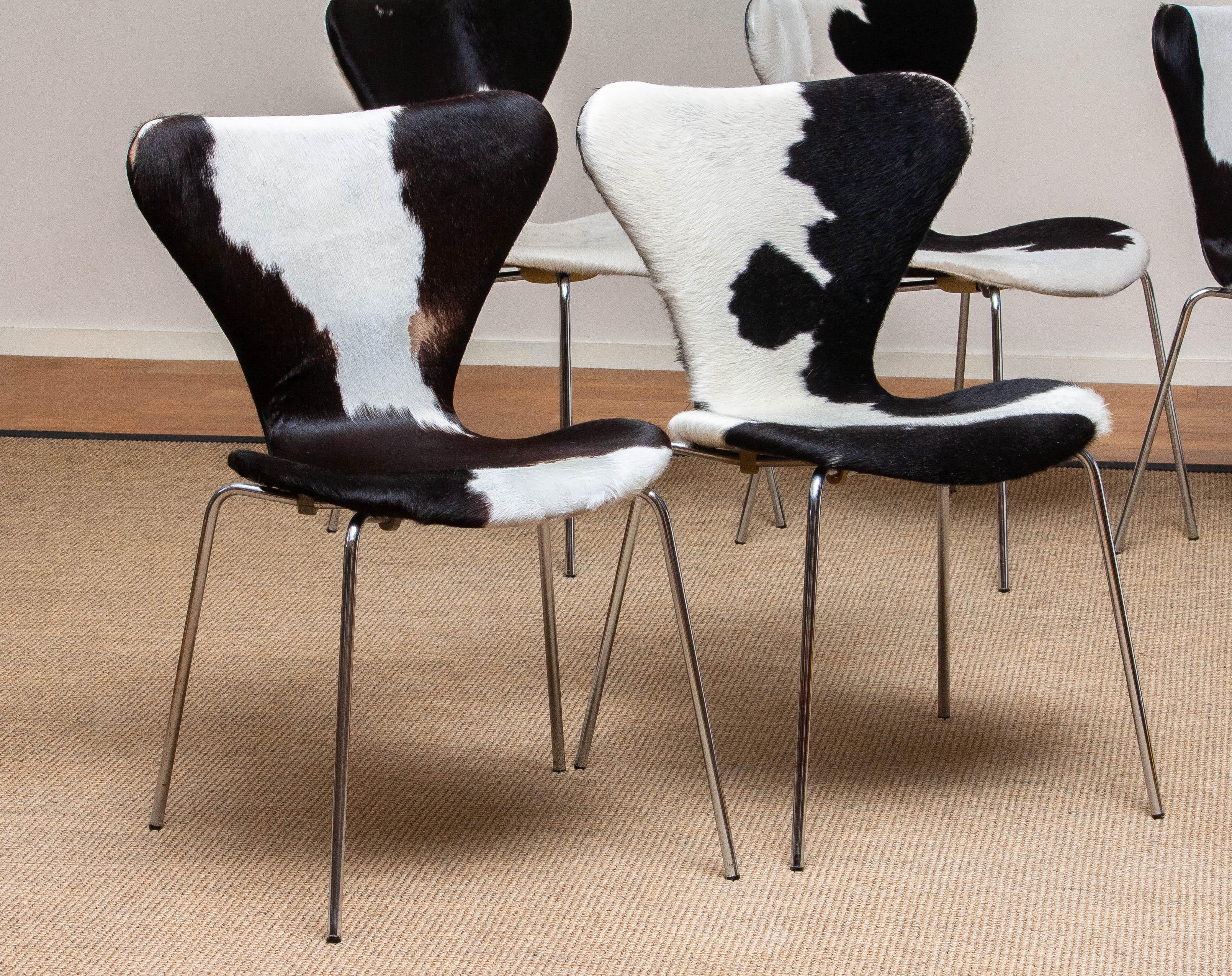 1970s, 5 Cowhide Fur Dining Chairs by Arne Jacobsen & Fritz Hansen Model 3107 7