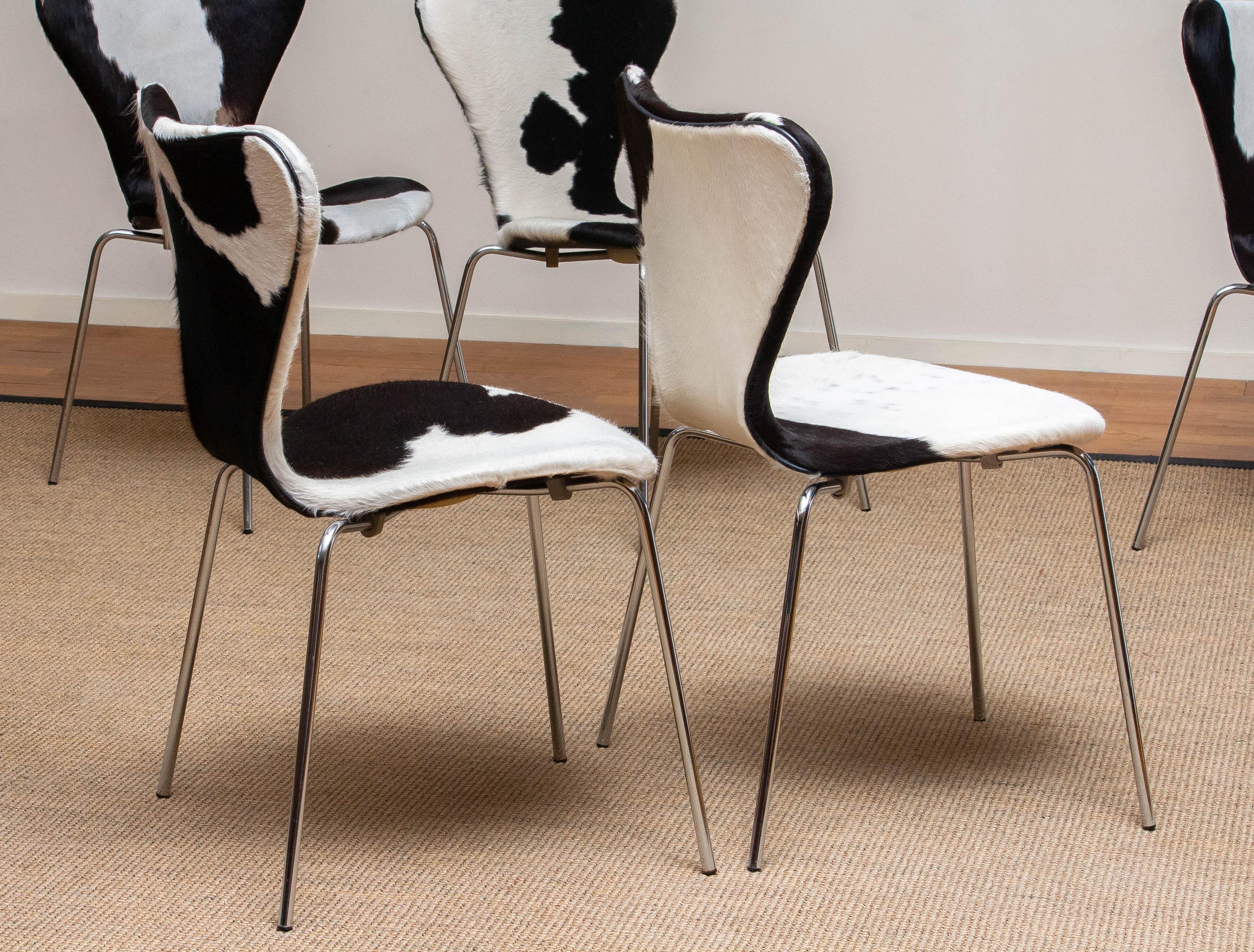 1970er, 5 Esszimmerstühle aus Kuhfell von Arne Jacobsen & Fritz Hansen Modell 3107 6