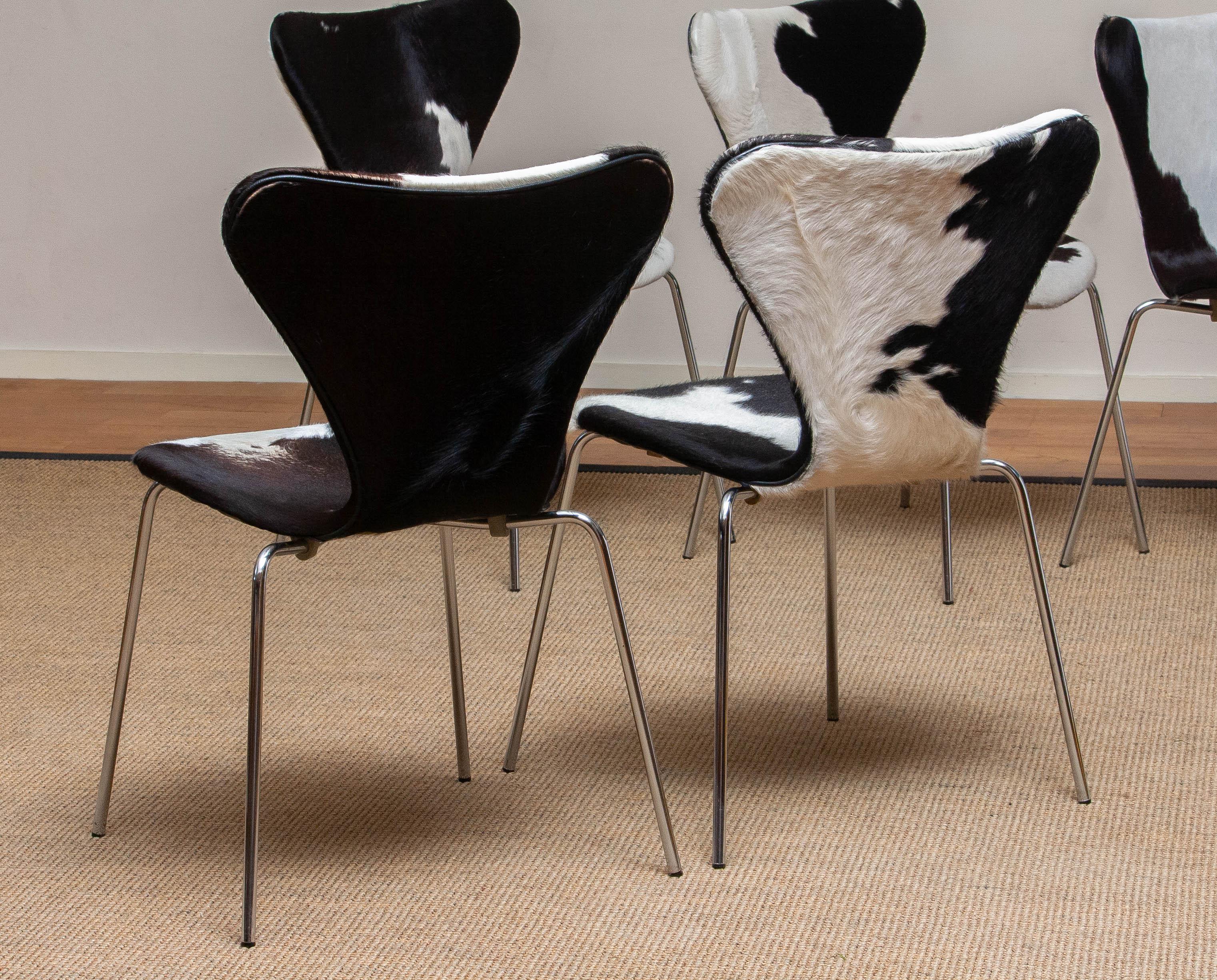 1970s, 5 Cowhide Fur Dining Chairs by Arne Jacobsen & Fritz Hansen Model 3107 10
