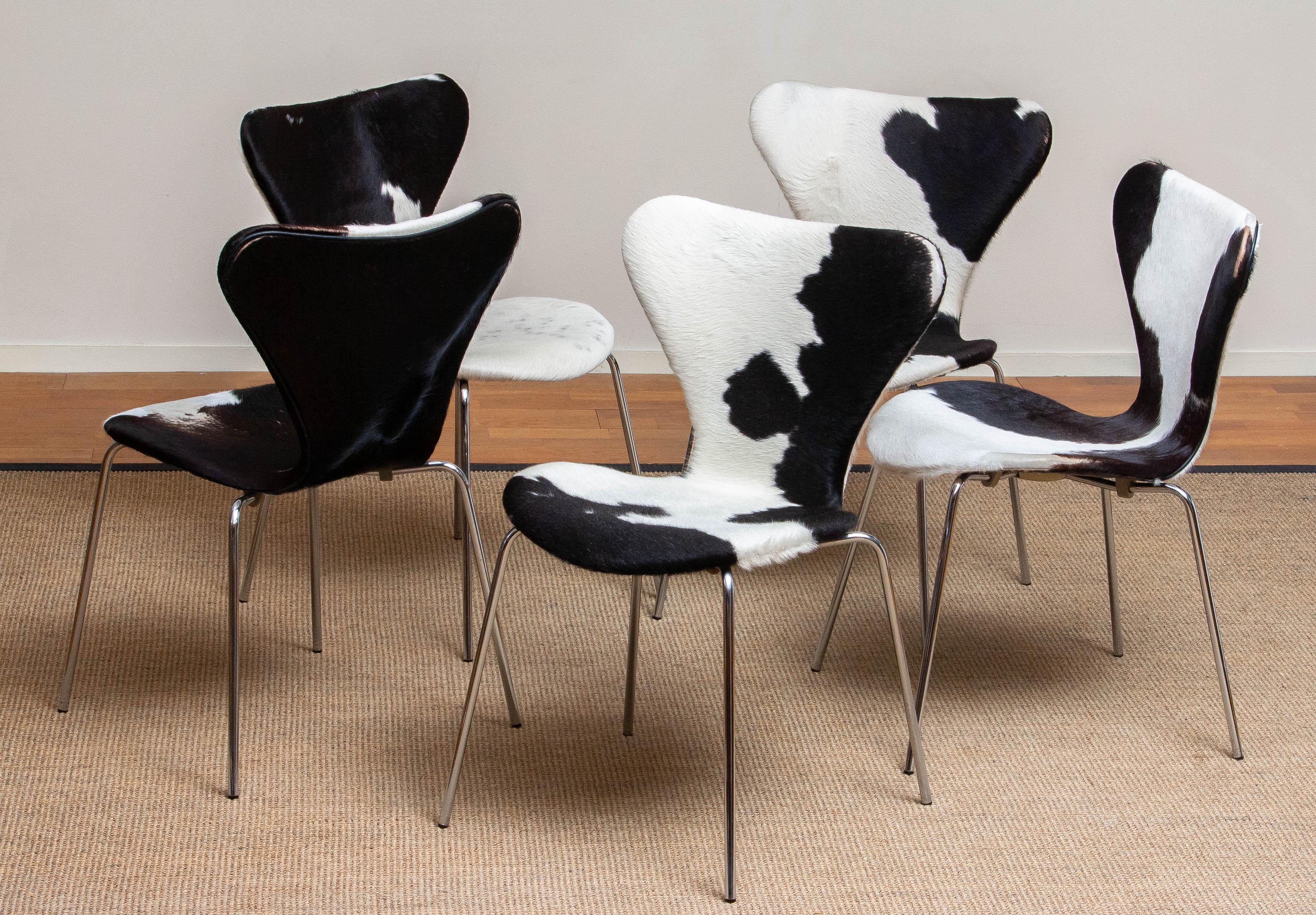 1970s, 5 Cowhide Fur Dining Chairs by Arne Jacobsen & Fritz Hansen Model 3107 11