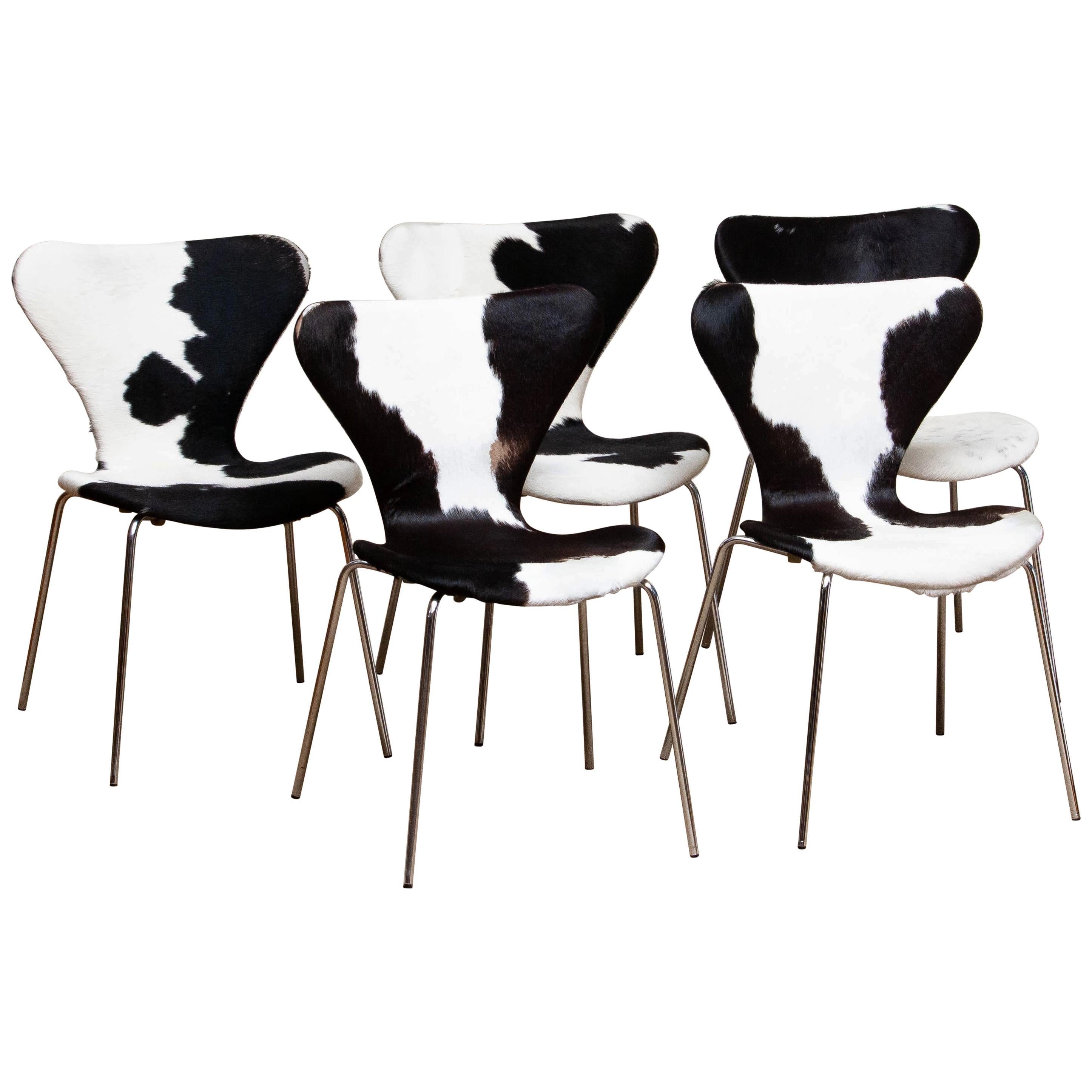 Extremely beautiful set of five dining chairs (Model 3107) by Arne Jacobsen and Fritz Hansen.
These chairs have a cowhide fur seating and backrest on a chrome frame.
They are in a very nice and original condition.
Period 1970s.

  