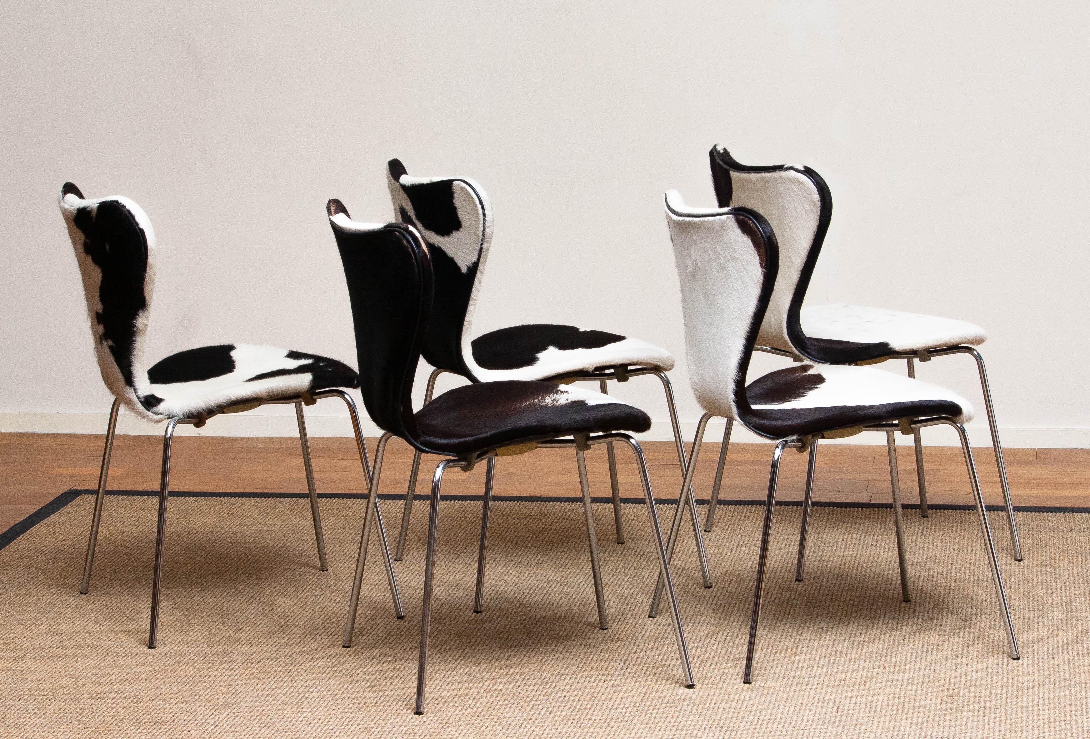 Extremely beautiful set of five dining chairs (Model 3107) by Arne Jacobsen and Fritz Hansen.
These chairs have a cowhide fur seating and backrest on a chrome frame.
They are in a very nice and original condition.
Period: 1970s.

  