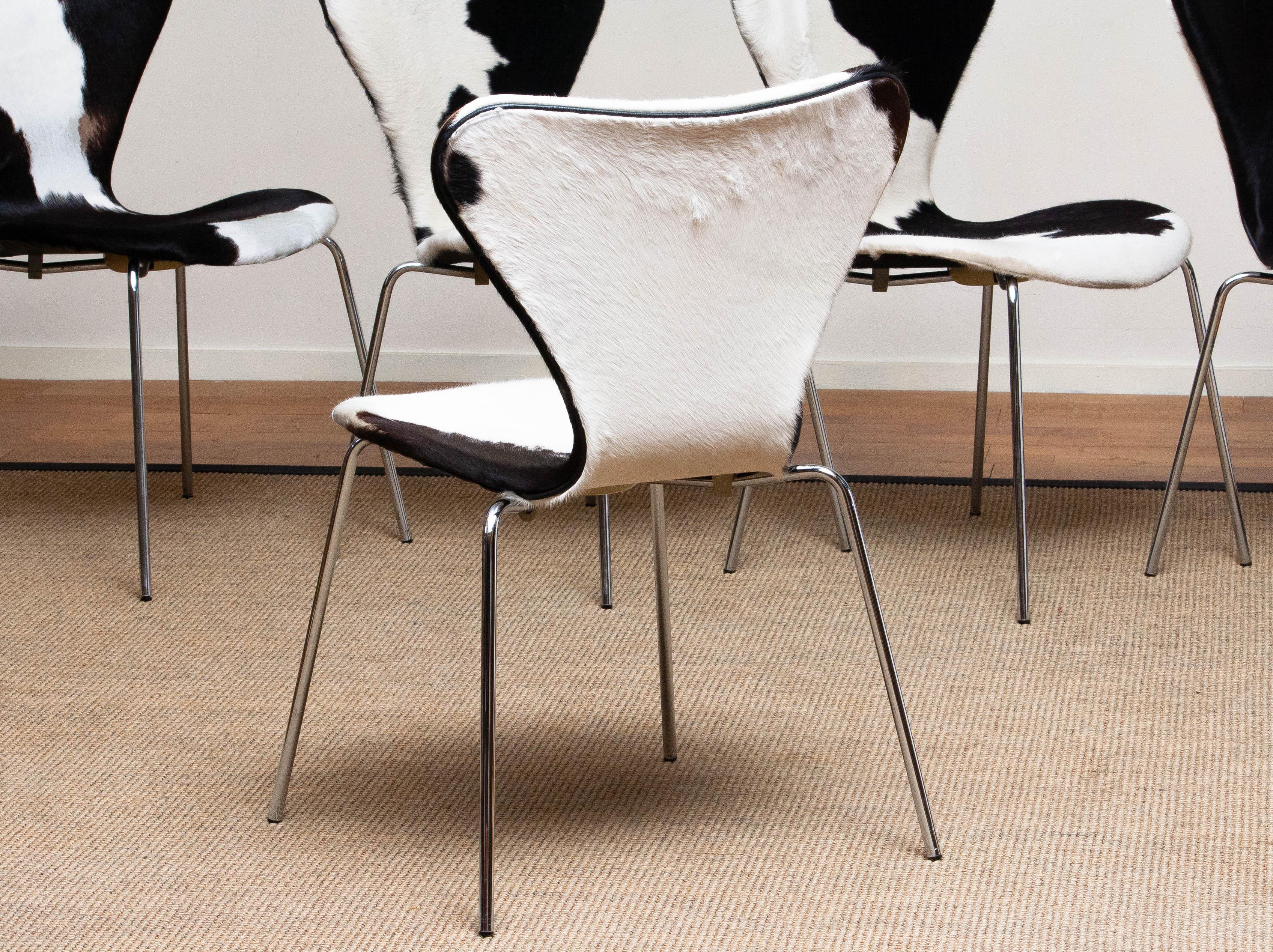 1970er, 5 Esszimmerstühle aus Kuhfell von Arne Jacobsen & Fritz Hansen Modell 3107 (Rindsleder)