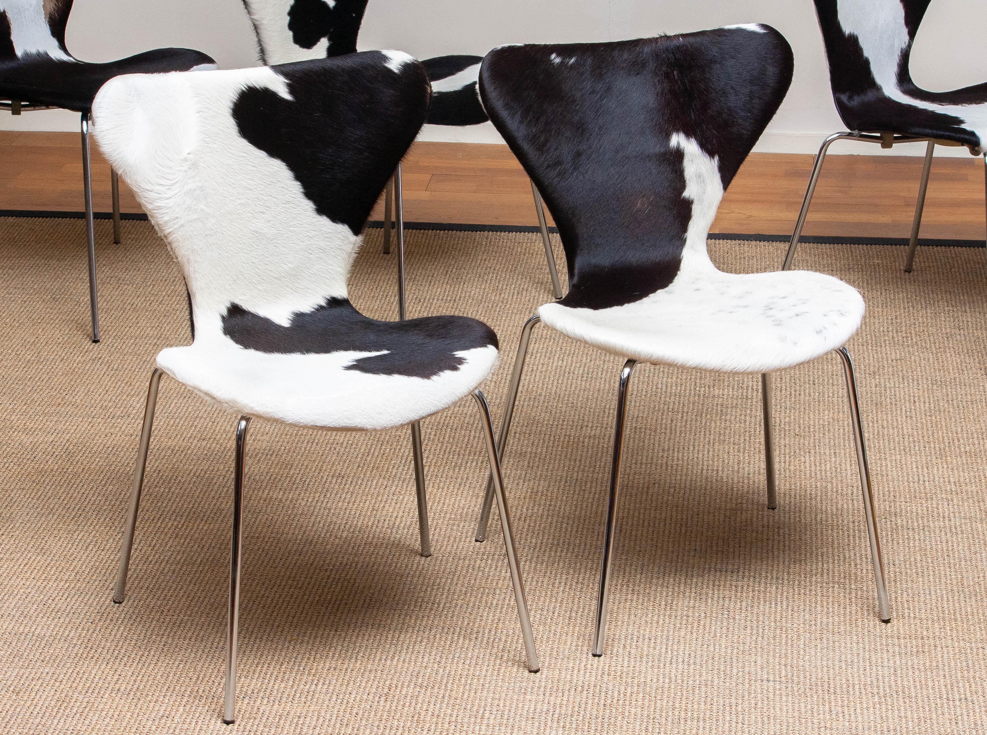 1970er, 5 Esszimmerstühle aus Kuhfell von Arne Jacobsen & Fritz Hansen Modell 3107 2