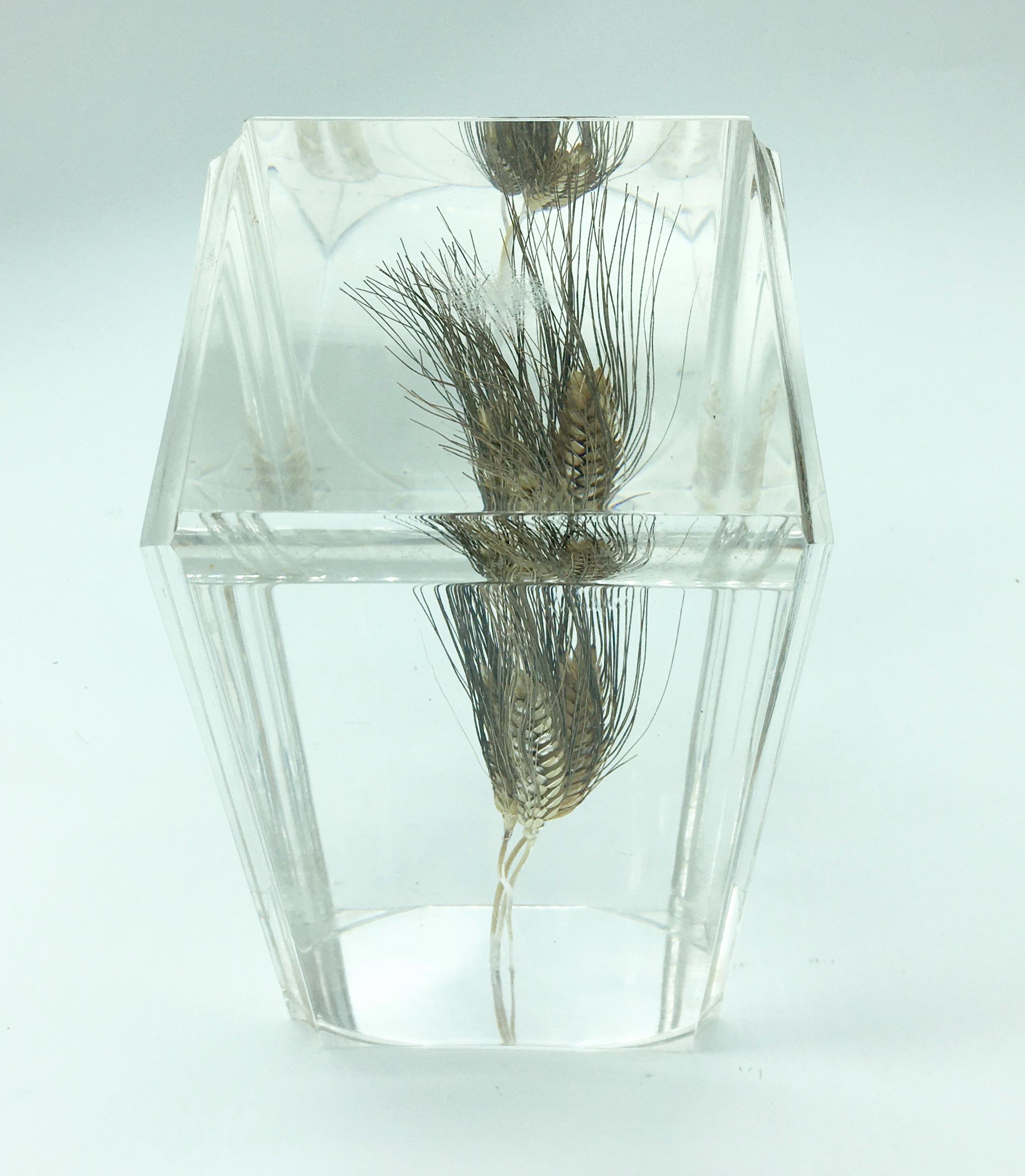 1970s Acrylic Sculpture Paperweight with Ear of Wheat In Good Condition In Naples, IT
