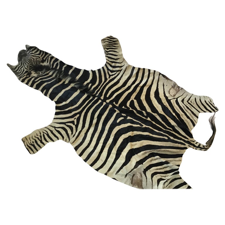 1970s African Burchell Zebra Skin Rug at 1stDibs