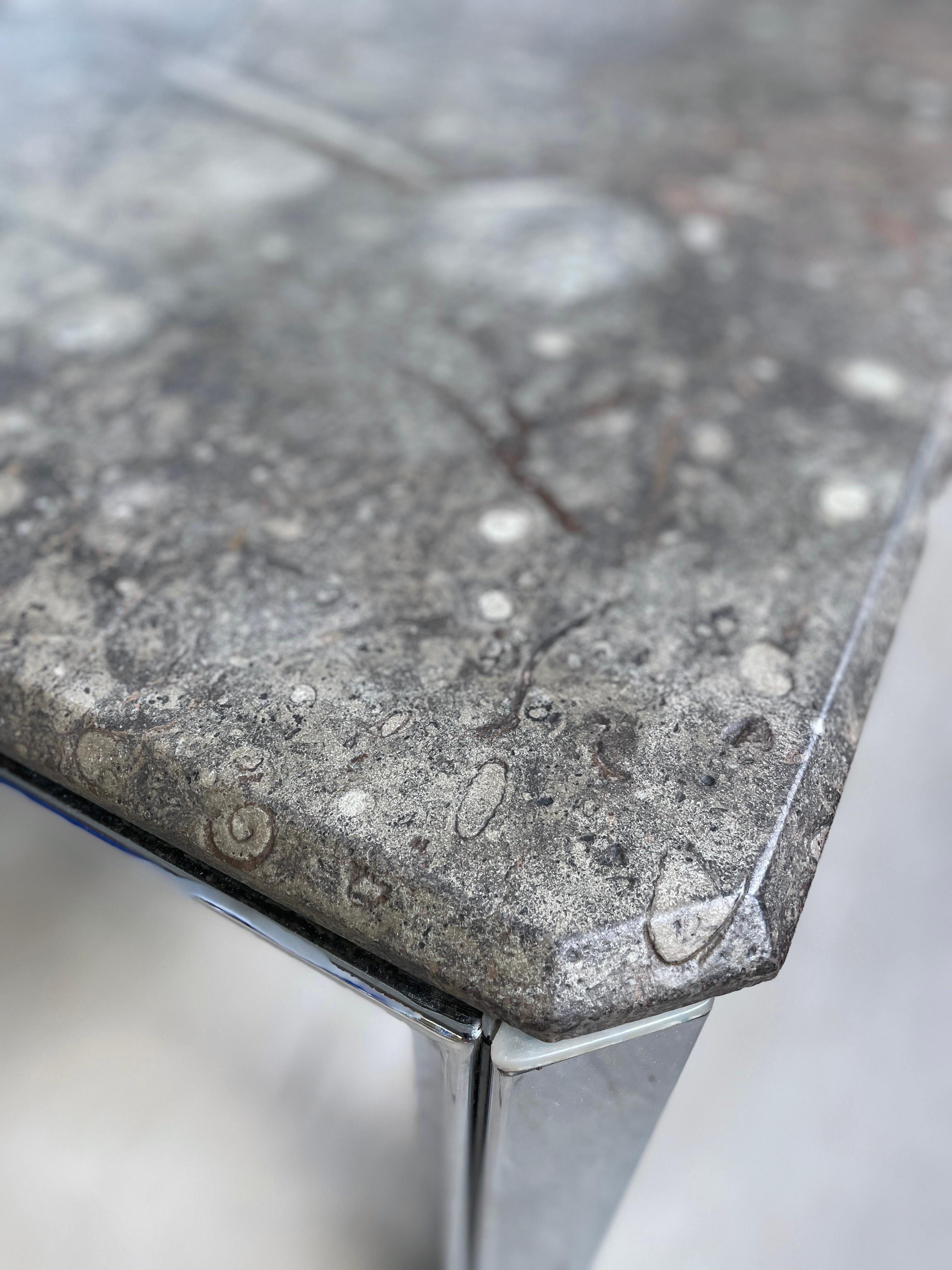 1970's Ammonite and Orthoceras Fossil Lounge Table For Sale 6