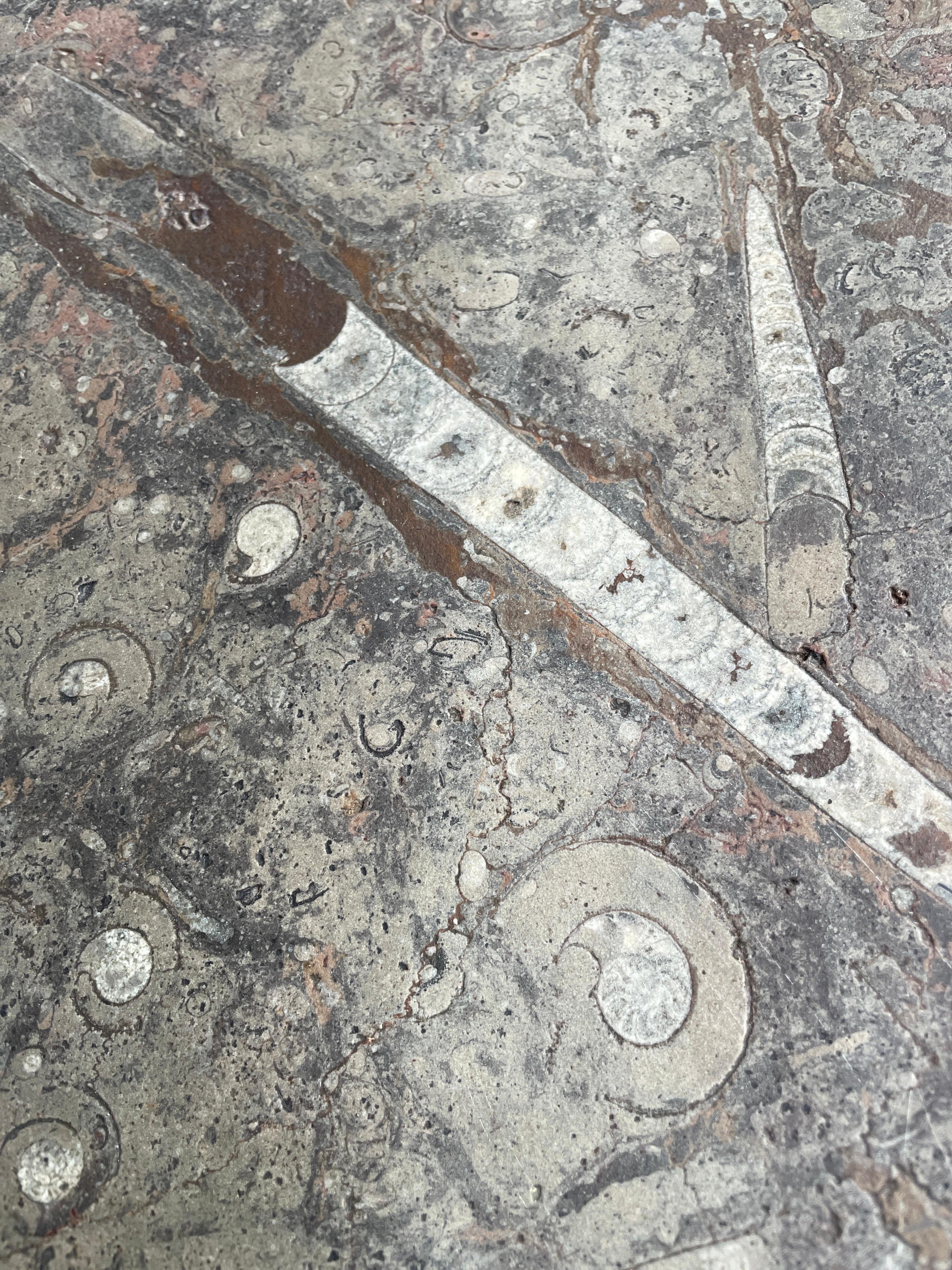 1970's Ammonite and Orthoceras Fossil Lounge Table For Sale 7