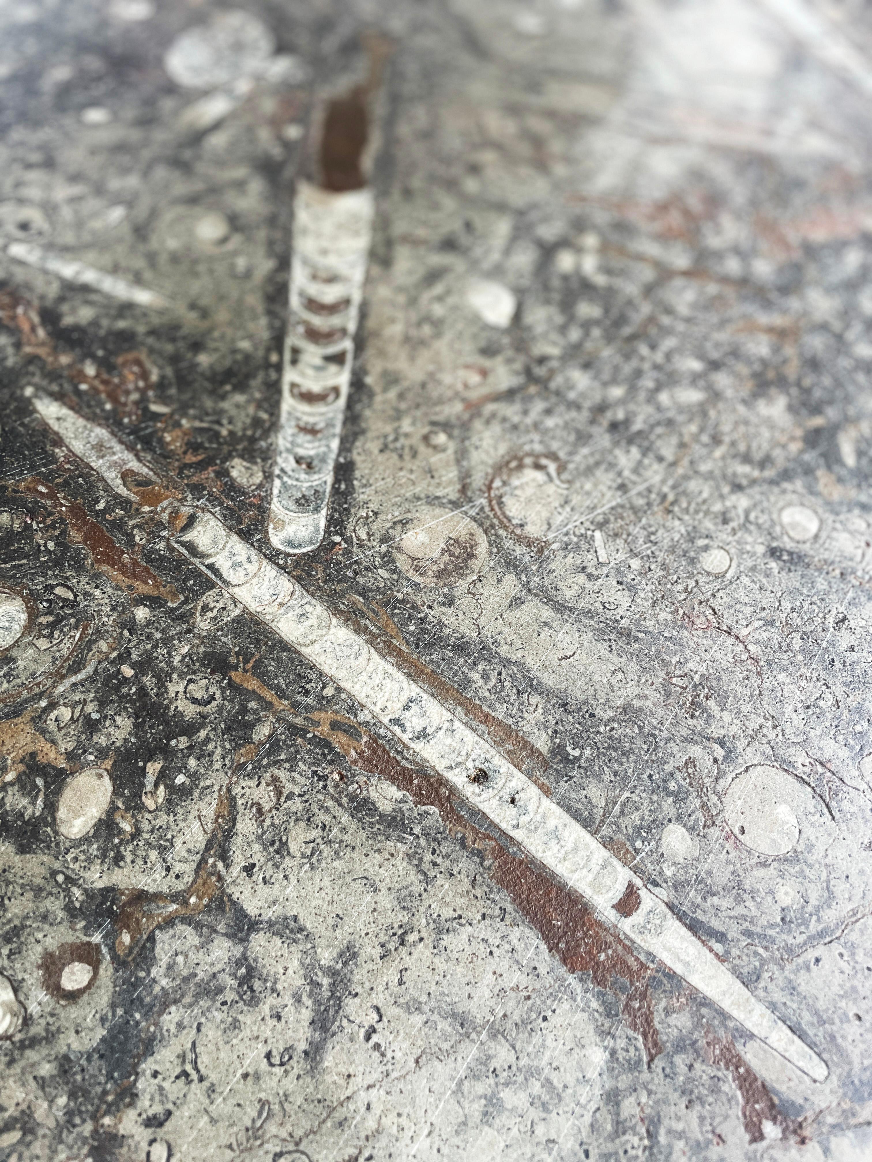 1970's Ammonite and Orthoceras Fossil Lounge Table For Sale 2