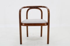 1970s Antonin Suman Chair By TON