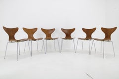 1970s Arne Jacobsen Set of Six Lily Chairs in Oak by Fritz Hansen, Denmark