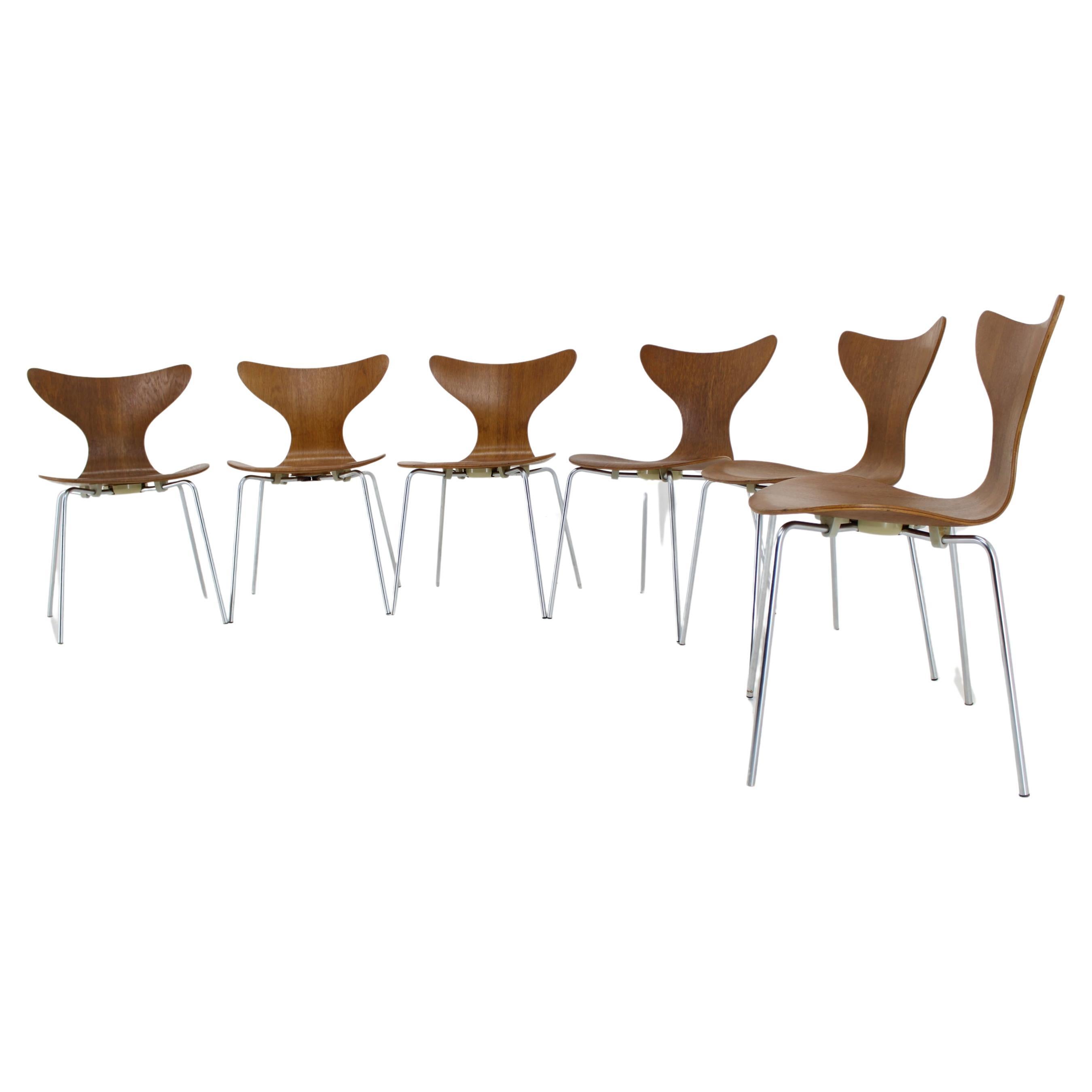 1970s Arne Jacobsen Set of Six Lily Chairs in Oak by Fritz Hansen, Denmark For Sale