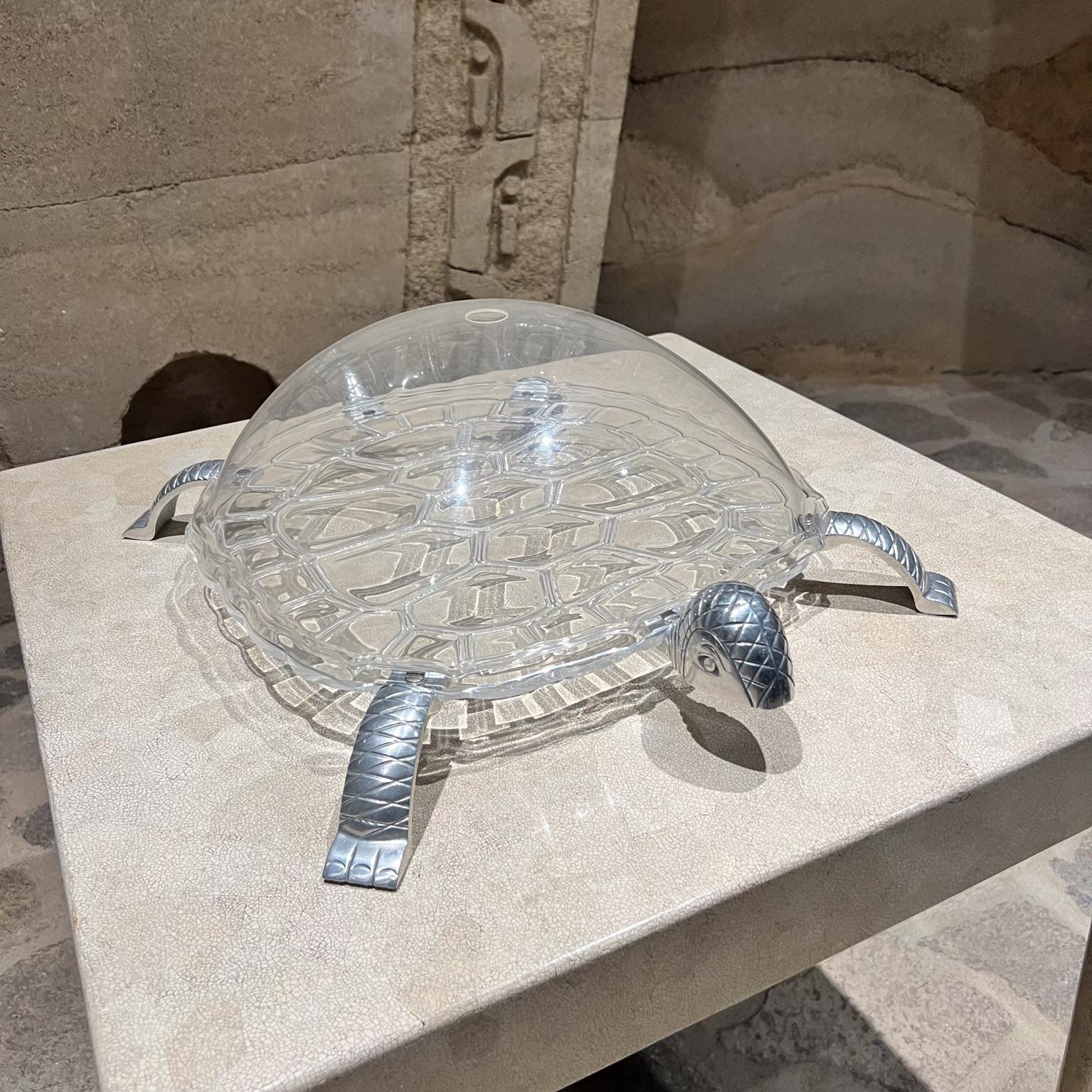 arthur the turtle