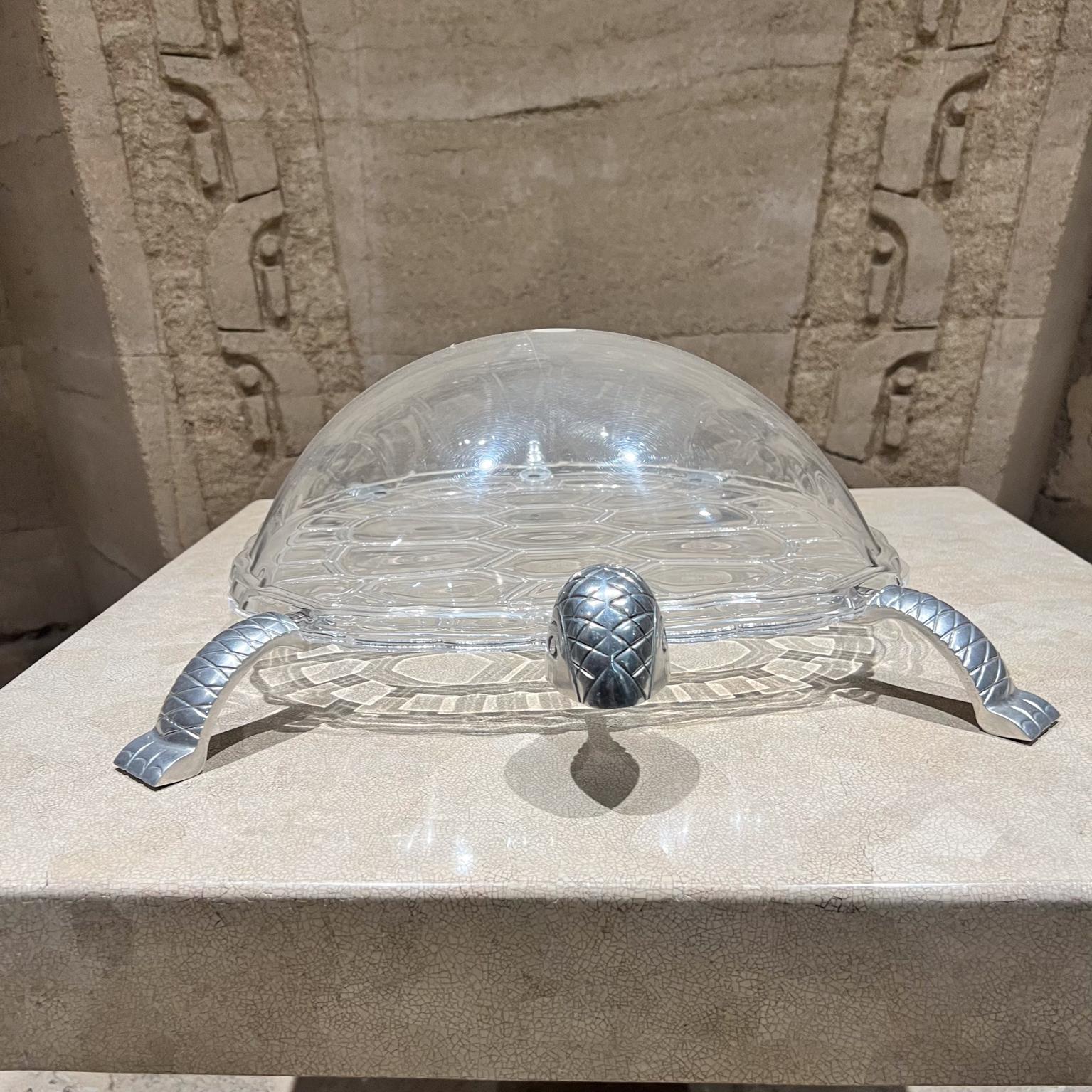 arthur turtle