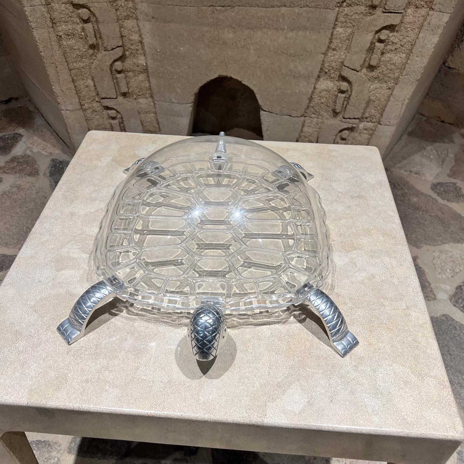 turtle from arthur