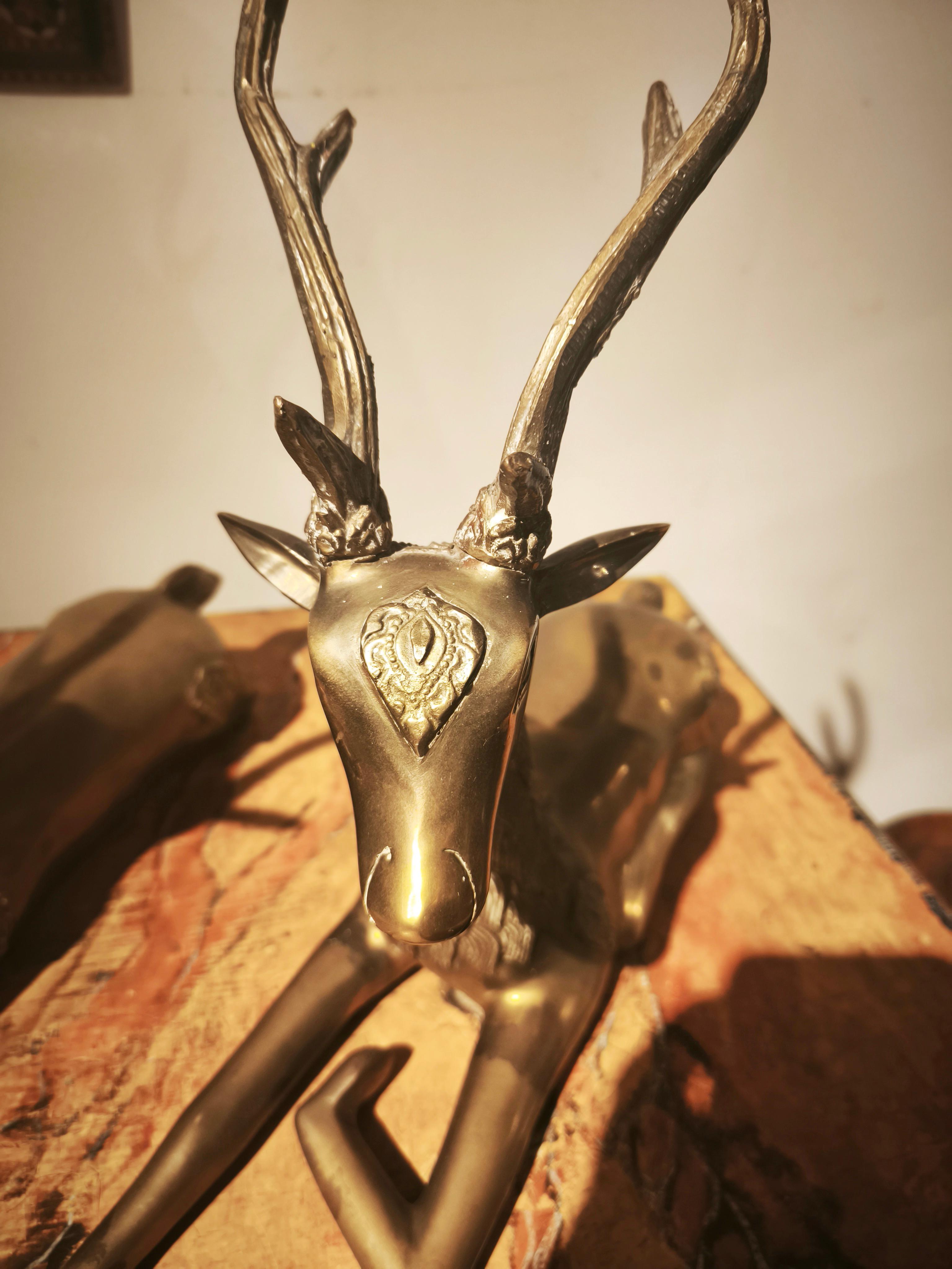 Bronzo Coppia di cervi reclinabili in bronzo massiccio degli anni '70 in stile Asian Style. in vendita