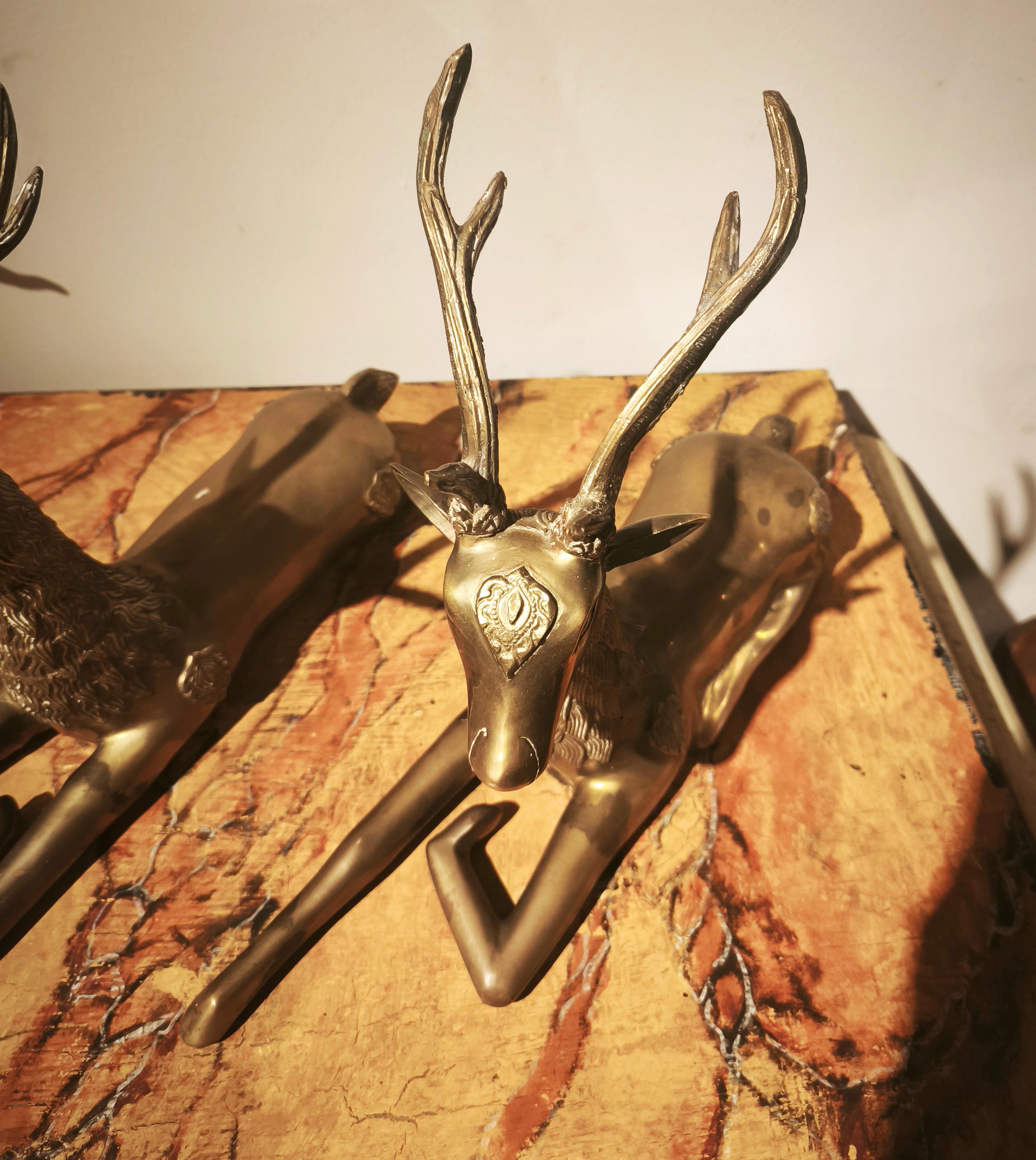 Coppia di cervi reclinabili in bronzo massiccio degli anni '70 in stile Asian Style. in vendita 1
