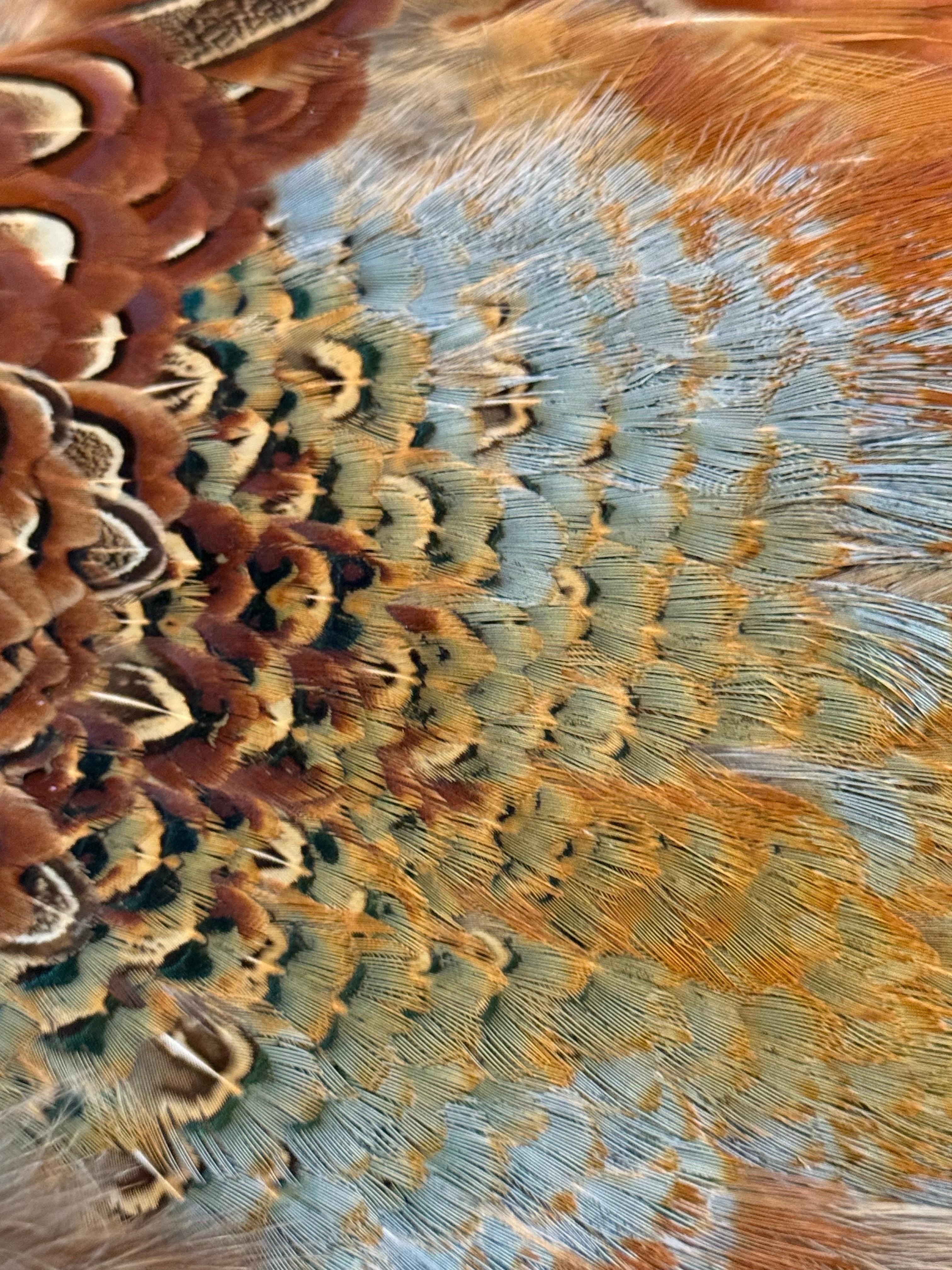 1970s Becky Bisoulis Pheasant Feather Extravagant Patchwork Bolero Jacket For Sale 5