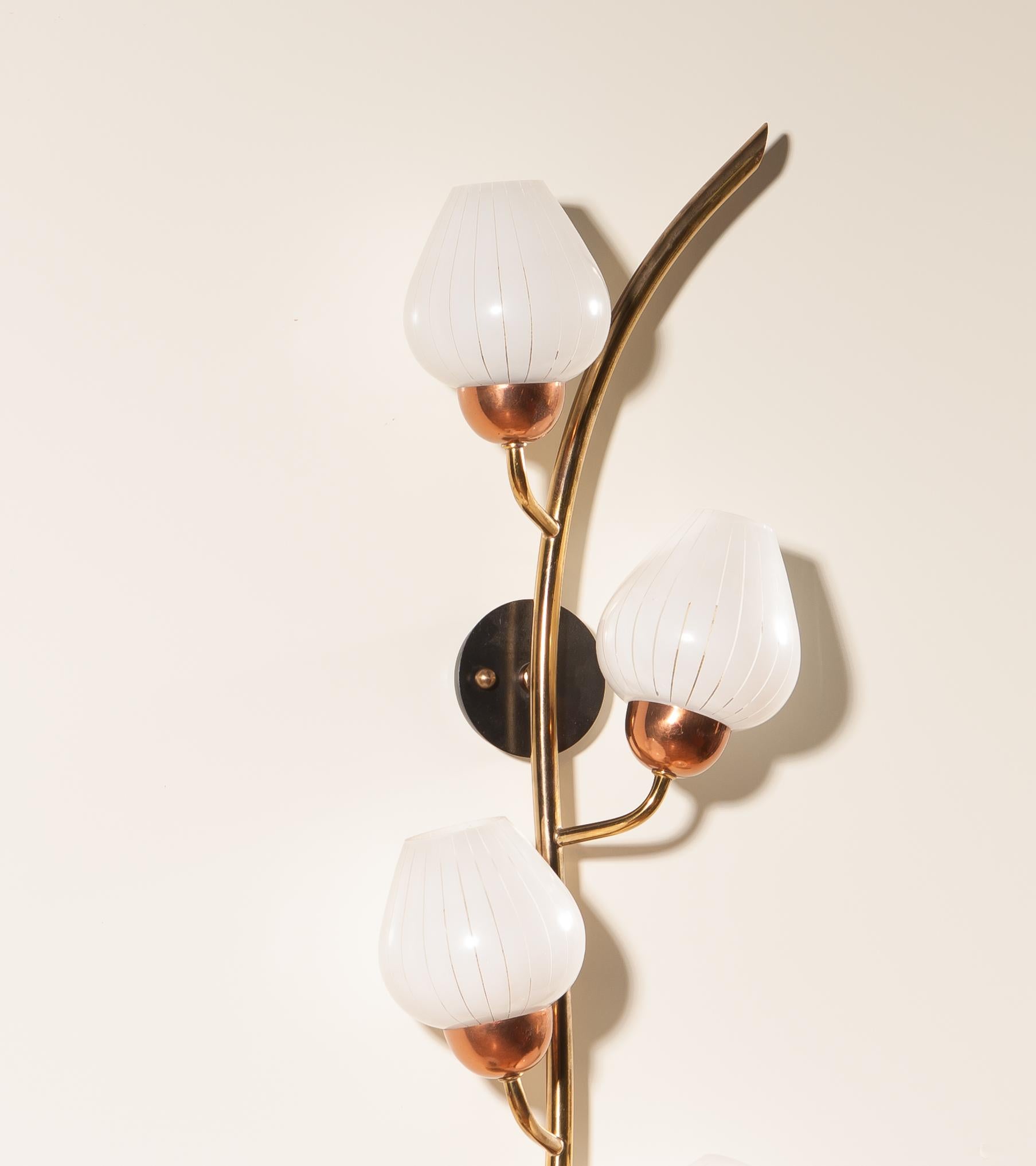 Mid-20th Century 1960s Brass Wall light like a Branch With Berries and Glass Wall Light
