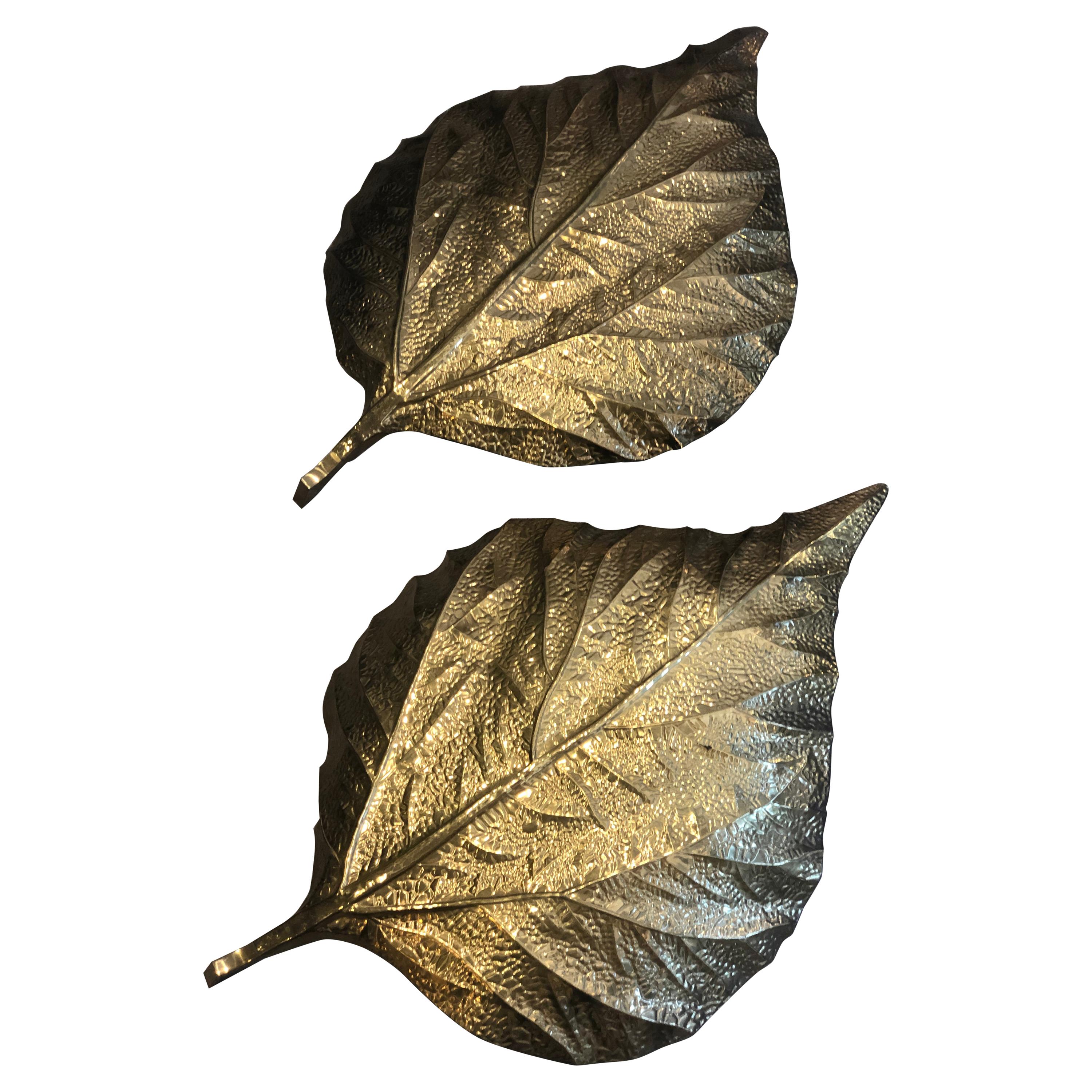 1970s Brass Rhubarb Leaves Wall Lights Attributed to Tommaso Barbi   