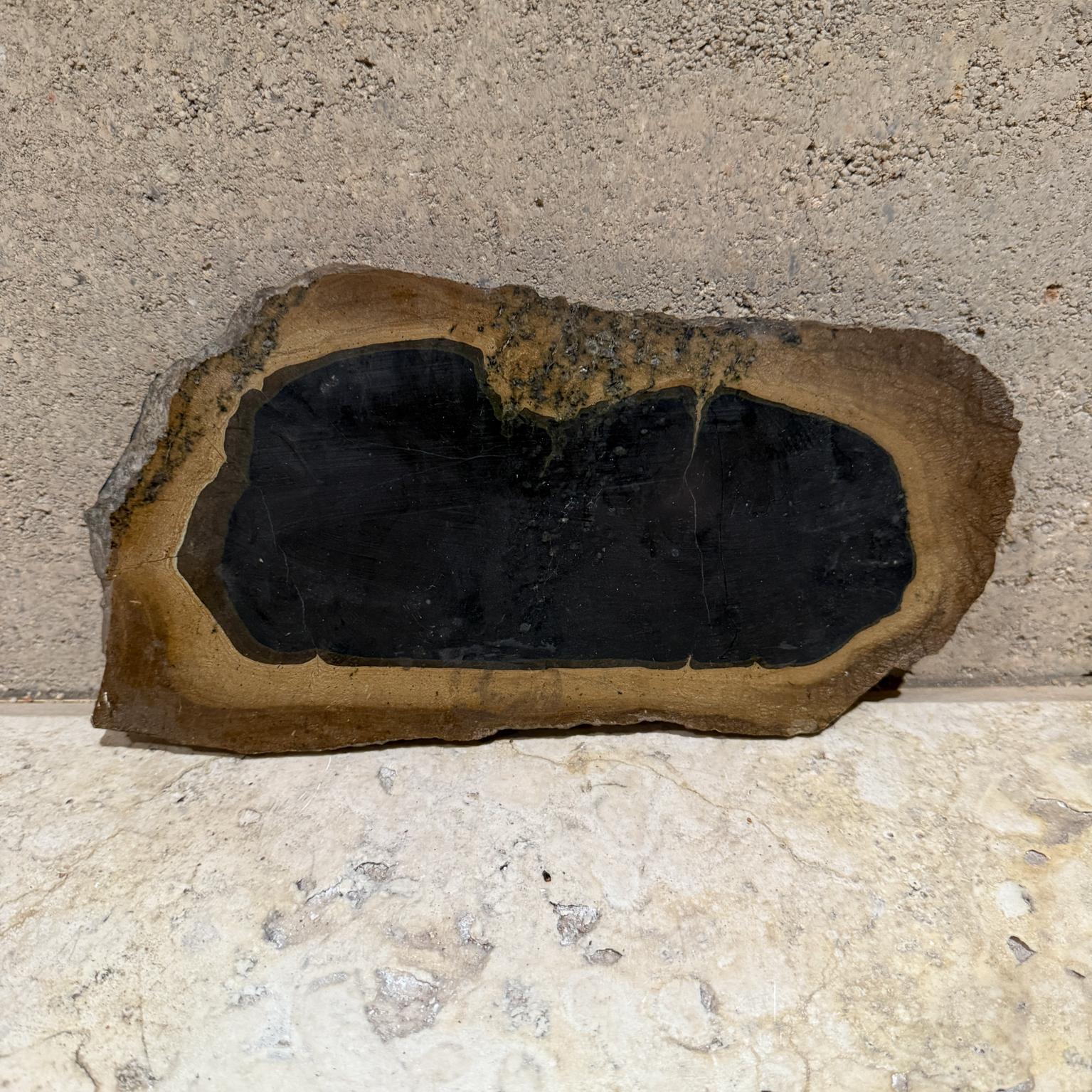 AMBIANIC presents
Natural Rock from Brazil Exotic Stone
Brown Black
.63 thick x 12 w x 6
Bottom of brown felt.
Original organic vintage condition
Refer to listed images
