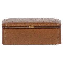 1970s Brown Ostrich Jewelry Box